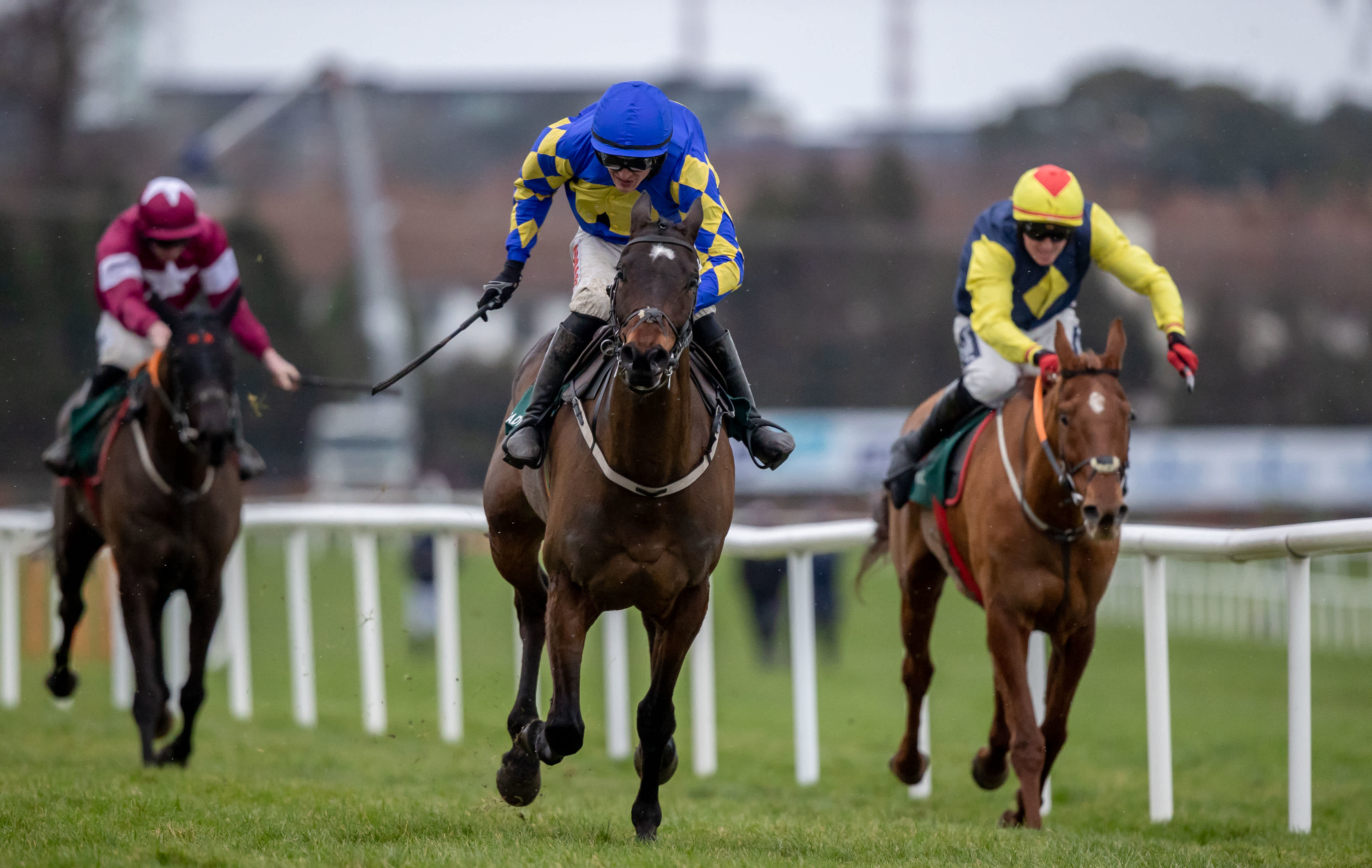 Cheltenham gold cup 2022 betting how much are bitcoin shares