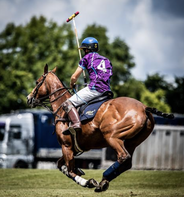 Final Spring in action playing polo (The Jockey Club/ ROR)