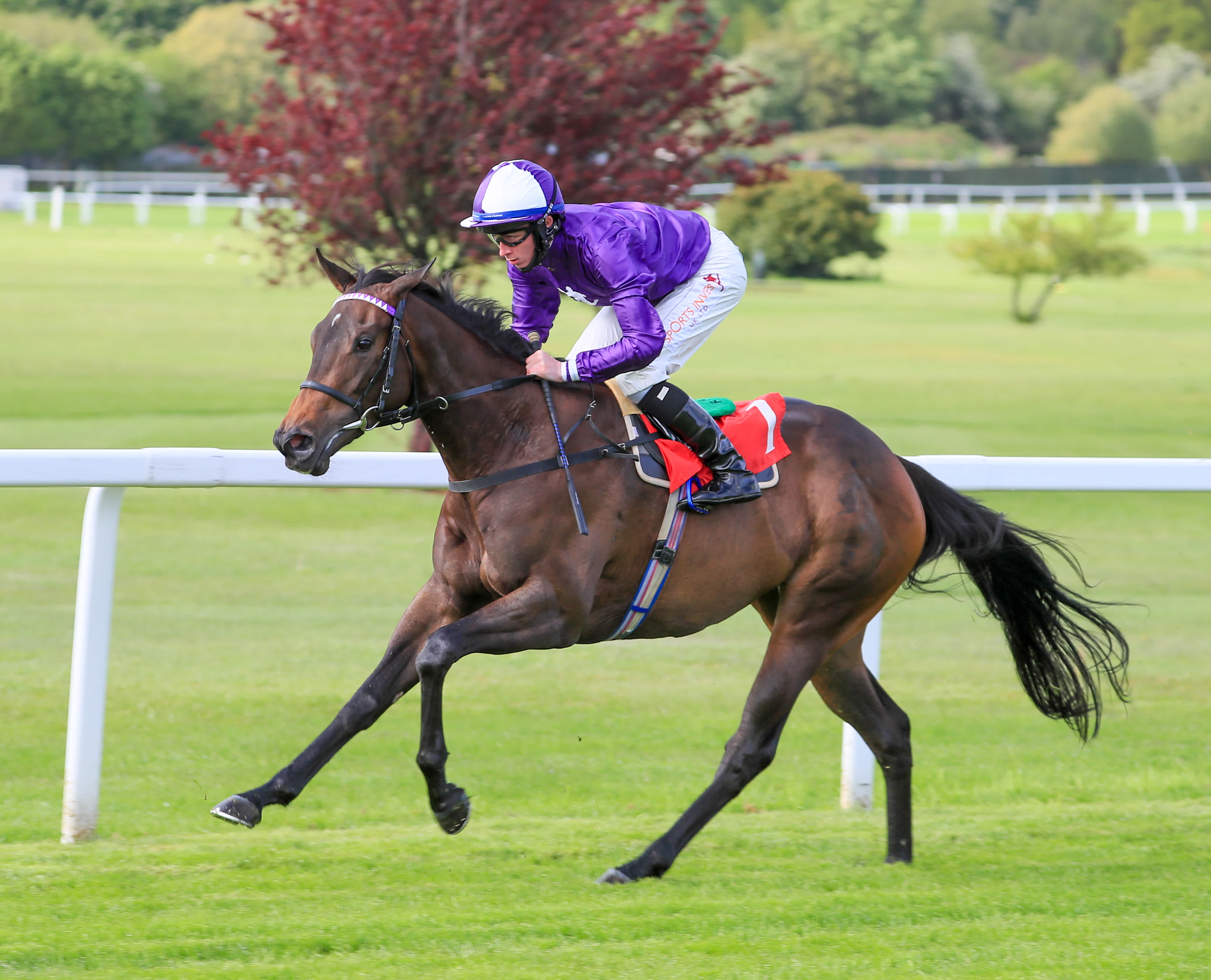 Royal Ascot Boughey gives a guide to all his runners