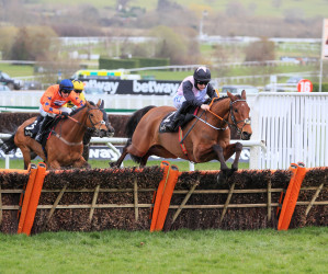  Bob Olinger jumps to victory in the 2021 Ballymore Novices' Hurdle (Focusonracing)