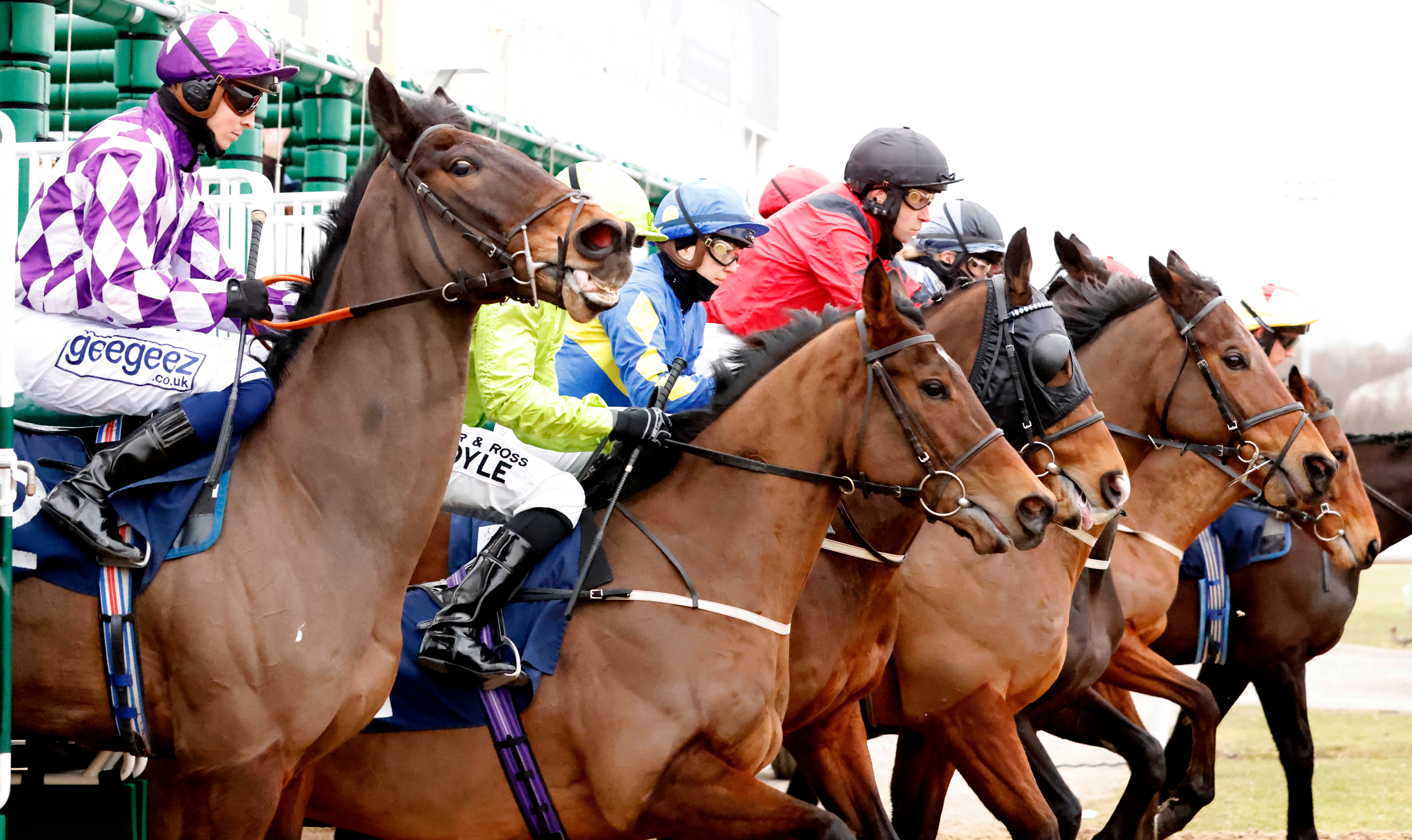 The Score's horse racing tips for Monday: Challenge looks up to task at Navan - Vimarsana News