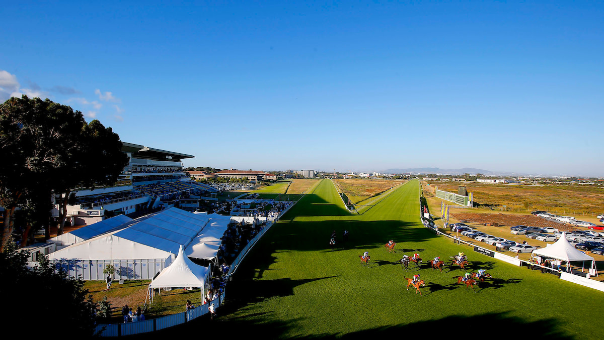 Kenilworth Racecourse Today's Results & Betting