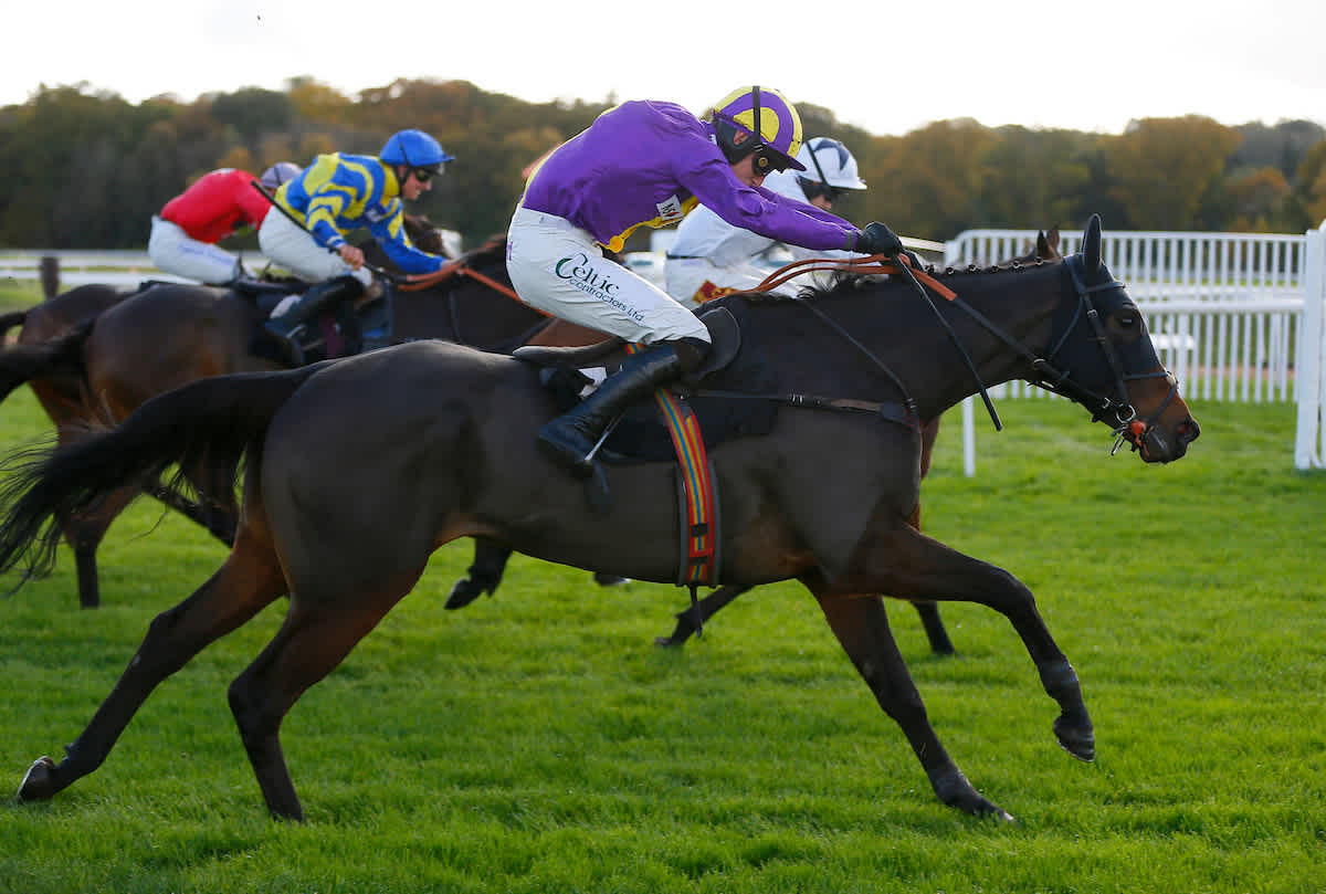 Paddy s Pick 5 Our Top Tips For Saturday s 75 000 Game paddy-s-pick-5-our-top-tips-for-saturday-s-75-000-game