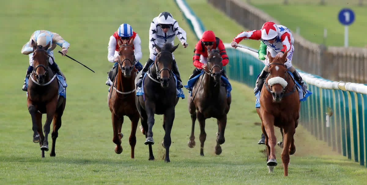 Horse racing tips Dave Nevison's best bets for Friday