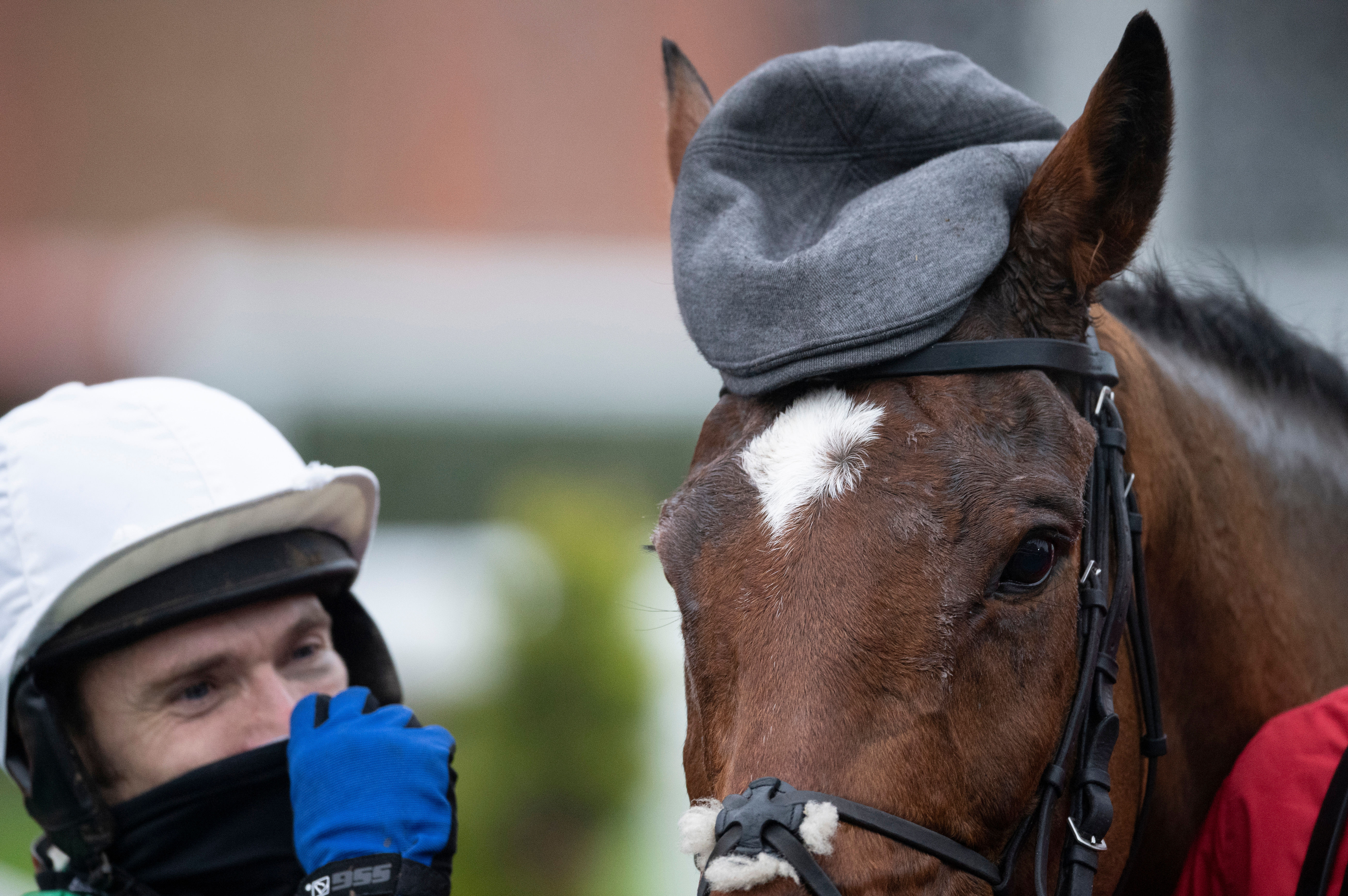 Ladbrokes horse racing Ladbrokes horse racing