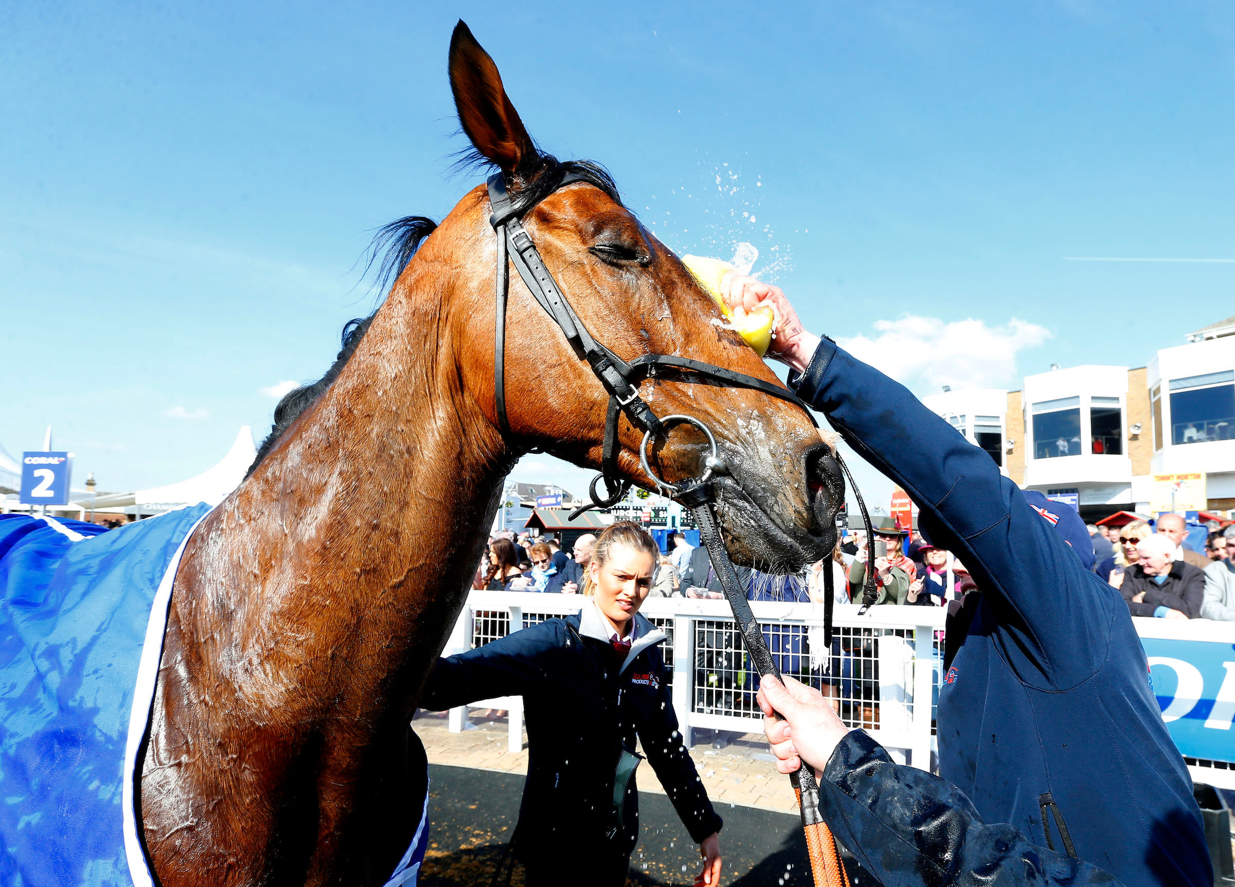 Takingrisks has Scottish Grand National win on his CV (Focusonracing)