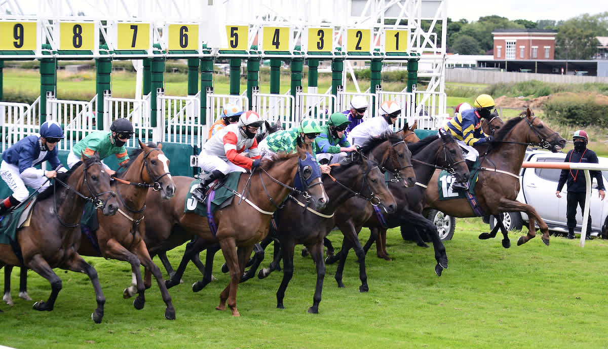 Free horse racing tips for Monday: a Trixie for Carlisle