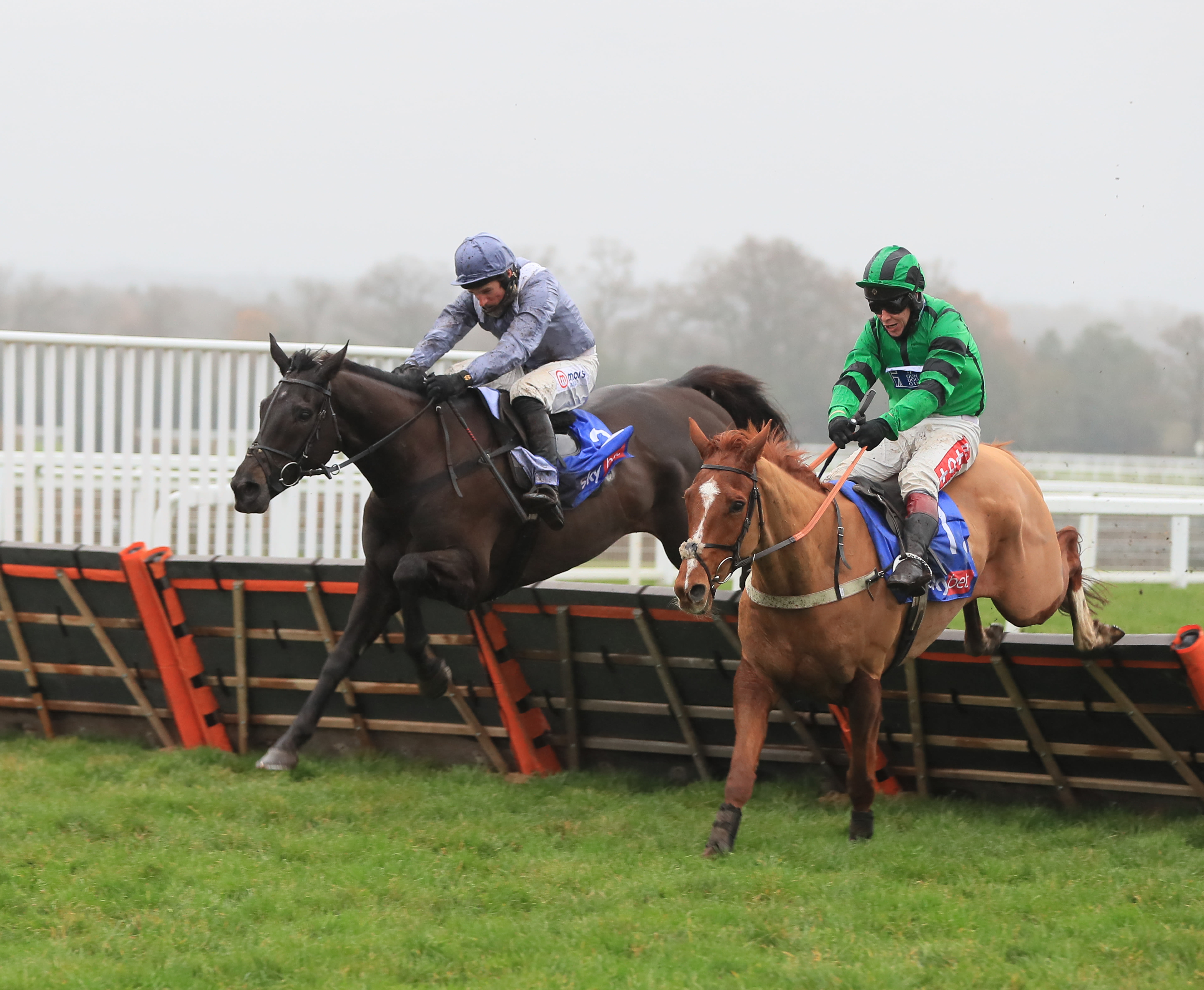 My Drogo Cut For Supreme Glory Following Impressive Trial Victory At Ascot