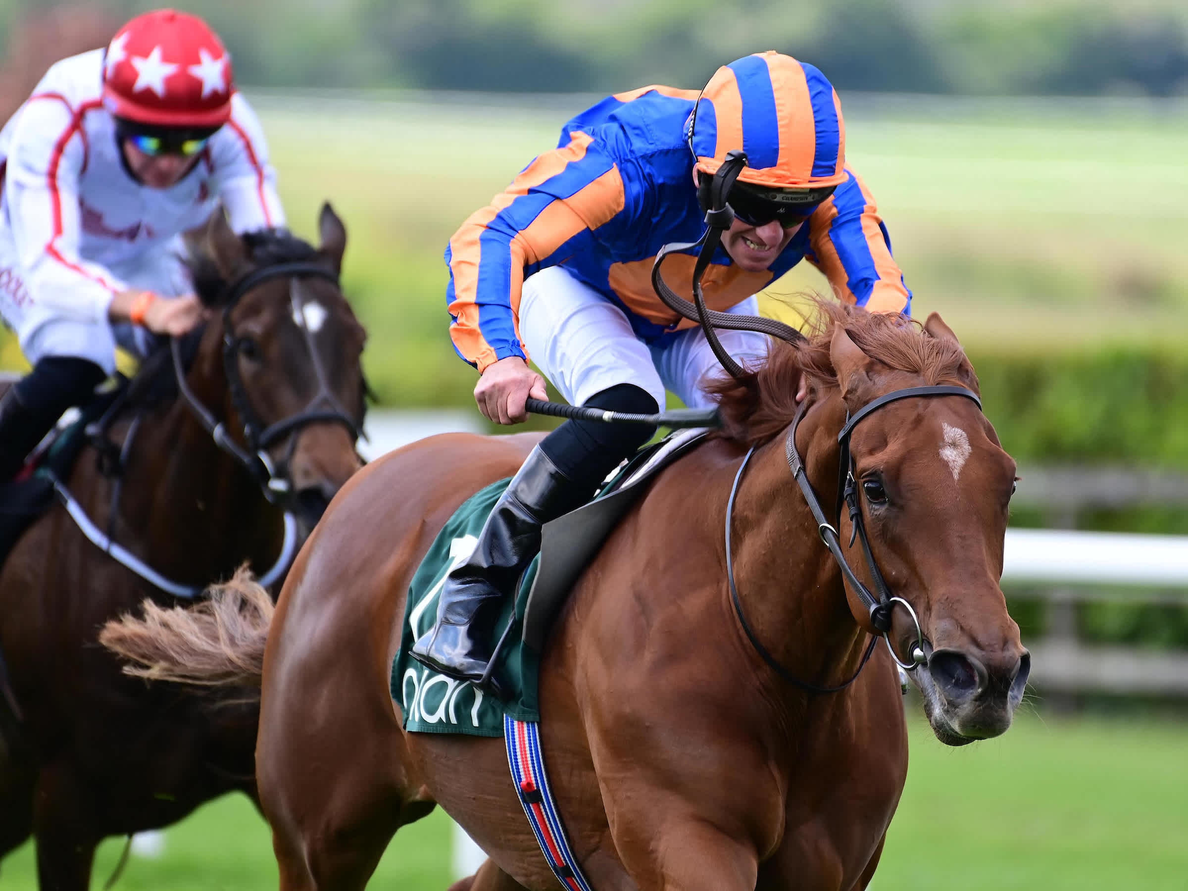 Prettiest Takes The Eye With Debut Victory For Aidan O Brien At Navan