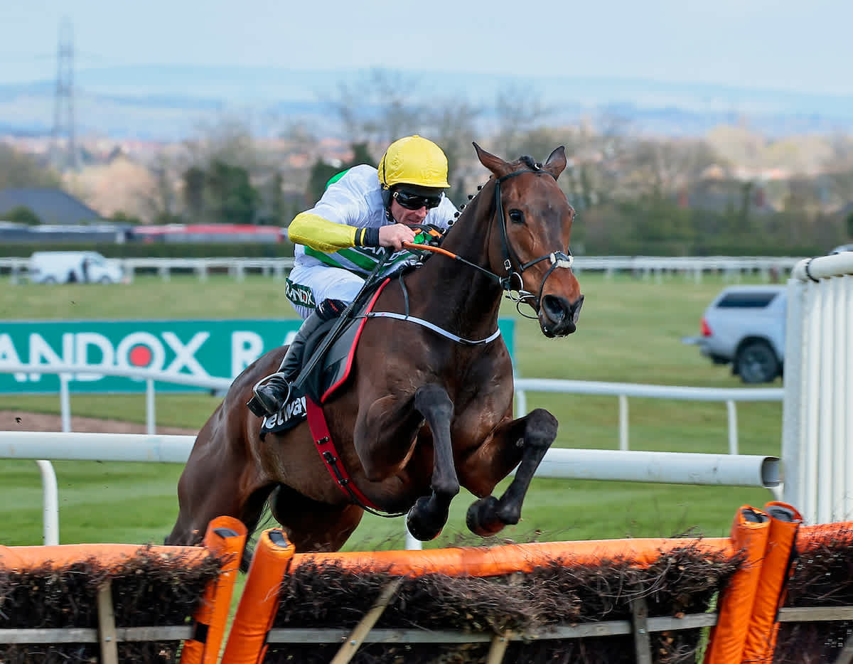 Racing TV's presenters and pundits Jumps horses to follow