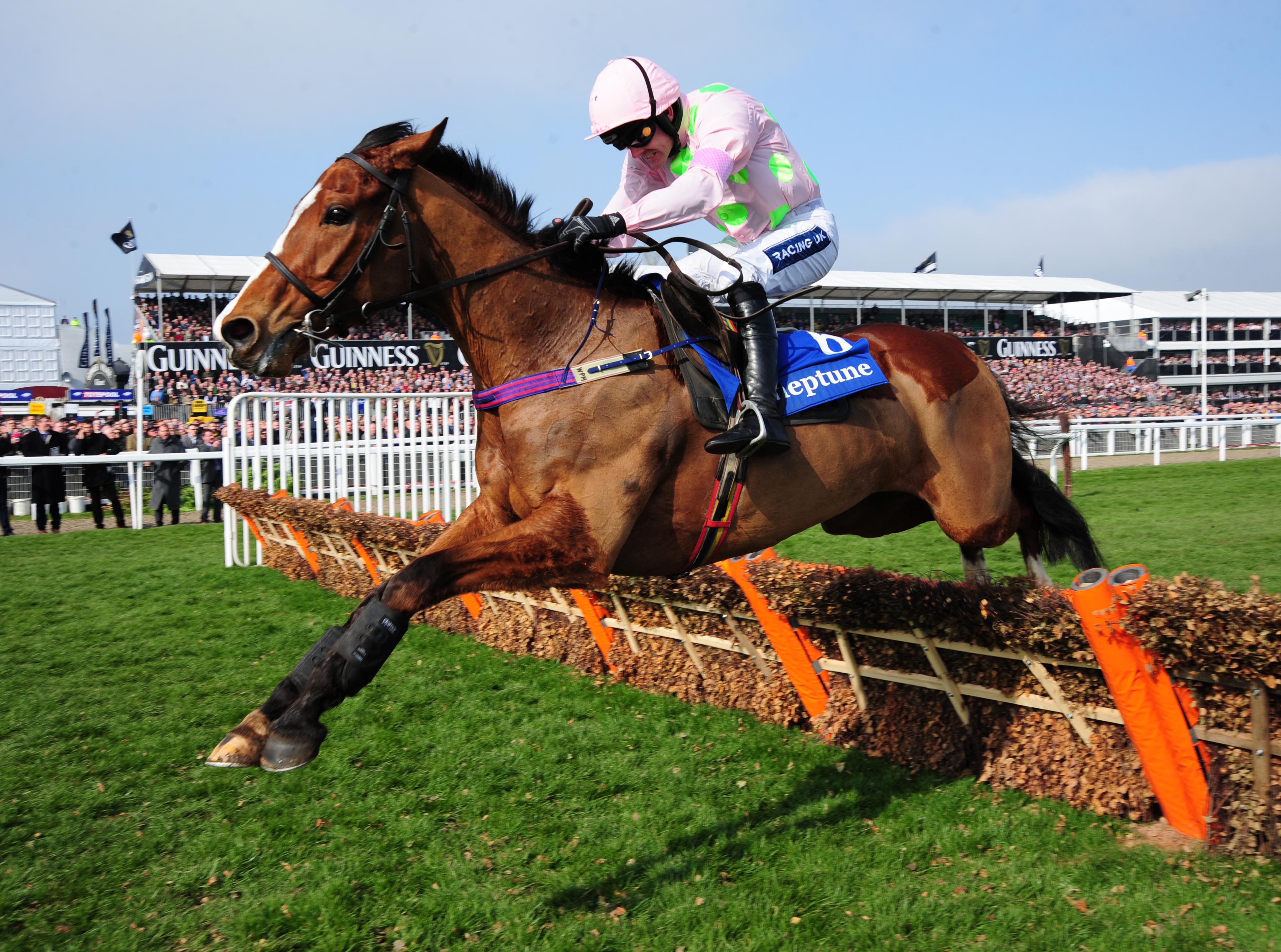  Faugheen was among the big winners for Mullins