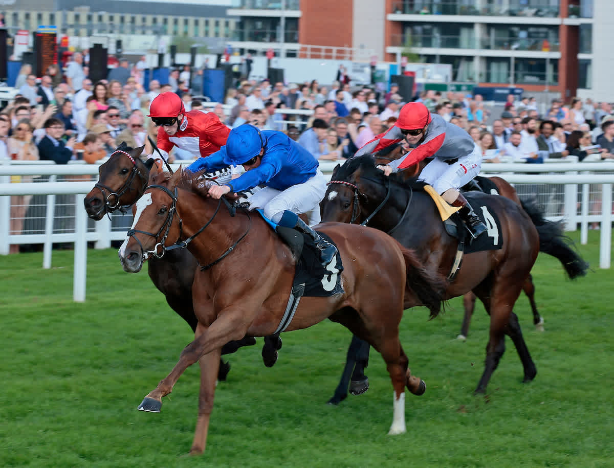 Horse racing tips Dave Nevison's best bets for Friday