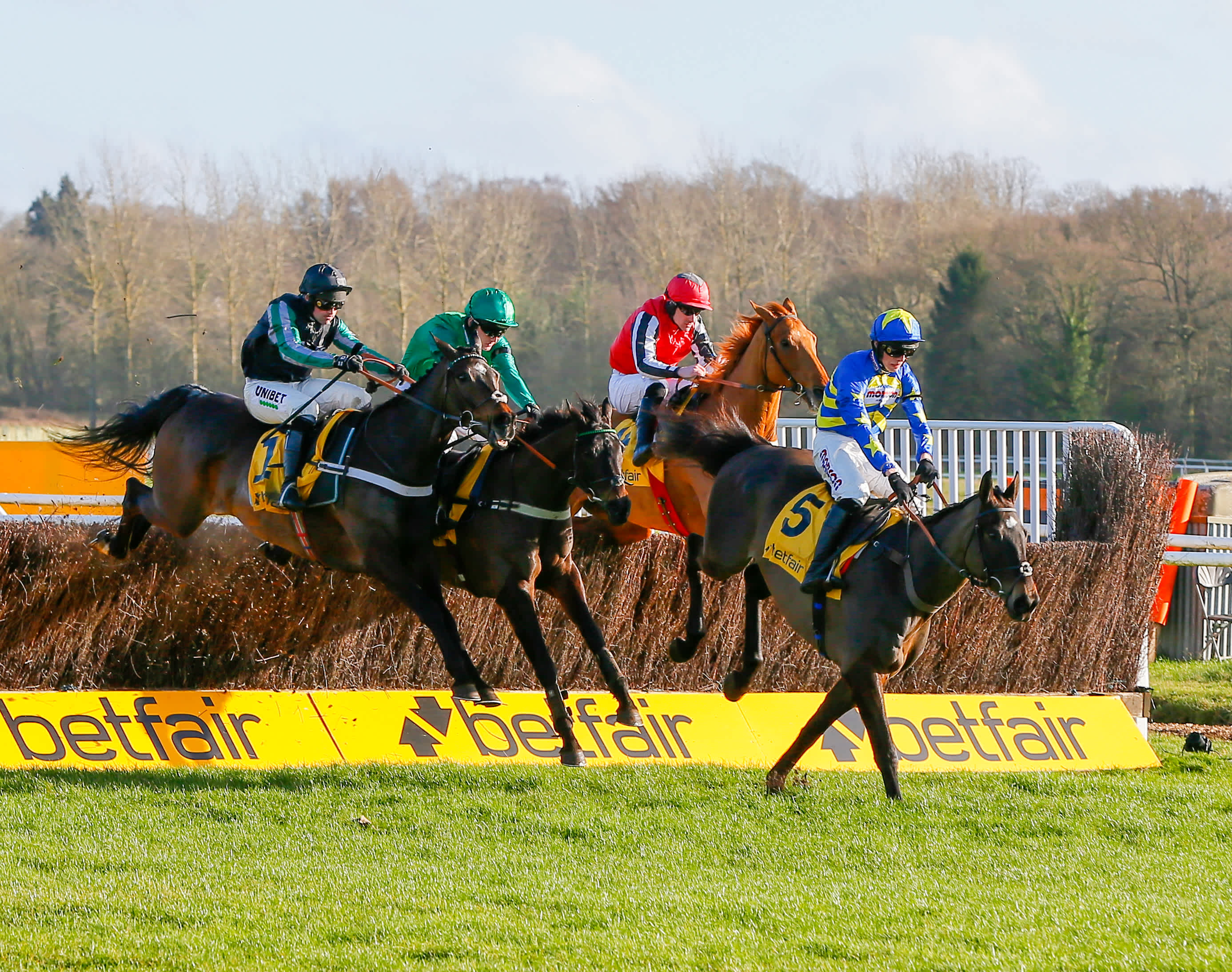 Road To Cheltenham Plaudits And Projections As A Two Mile Thriller Now Looks Assured