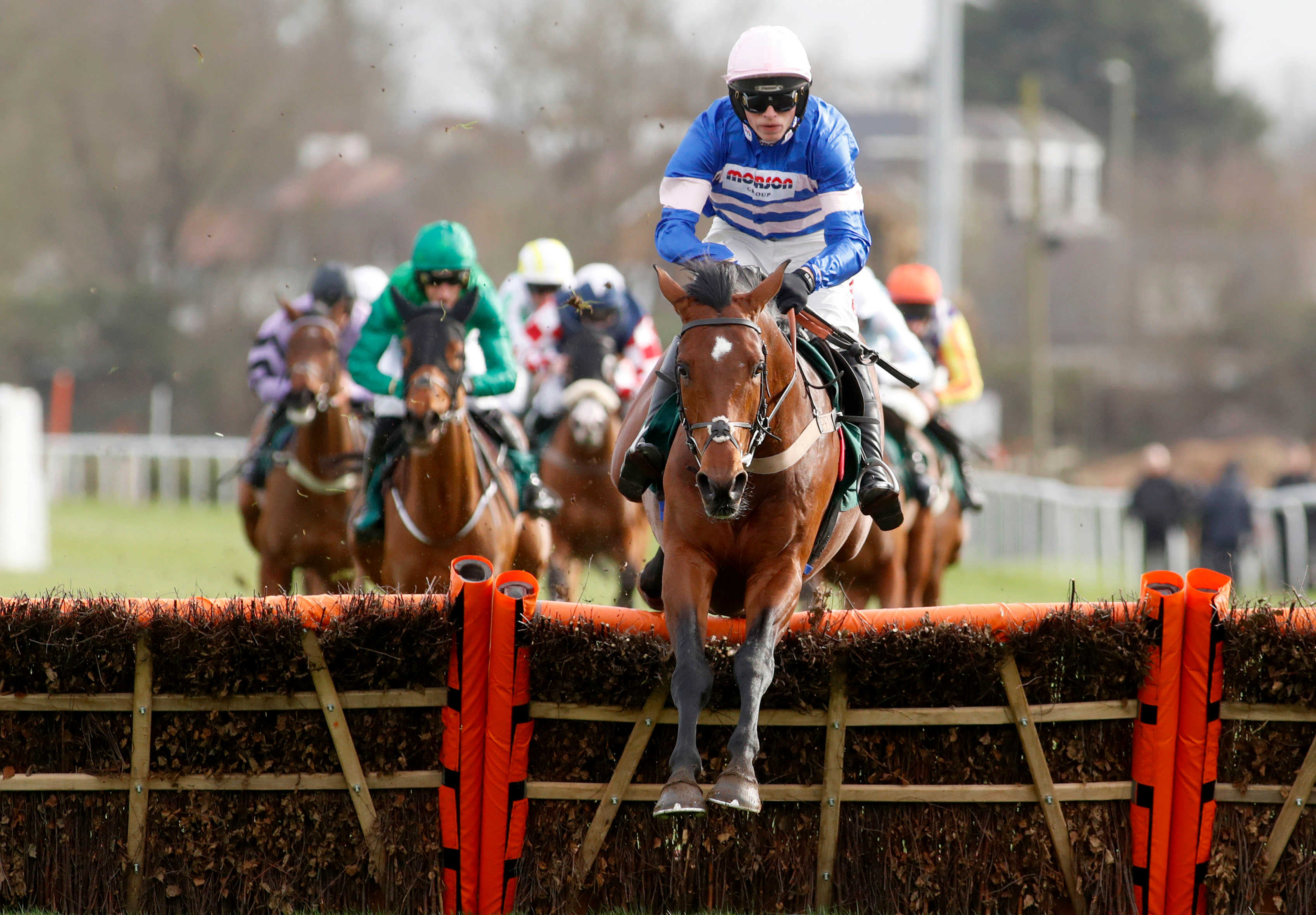 Lydia Hislop's Road To Cheltenham Reaction and overreaction