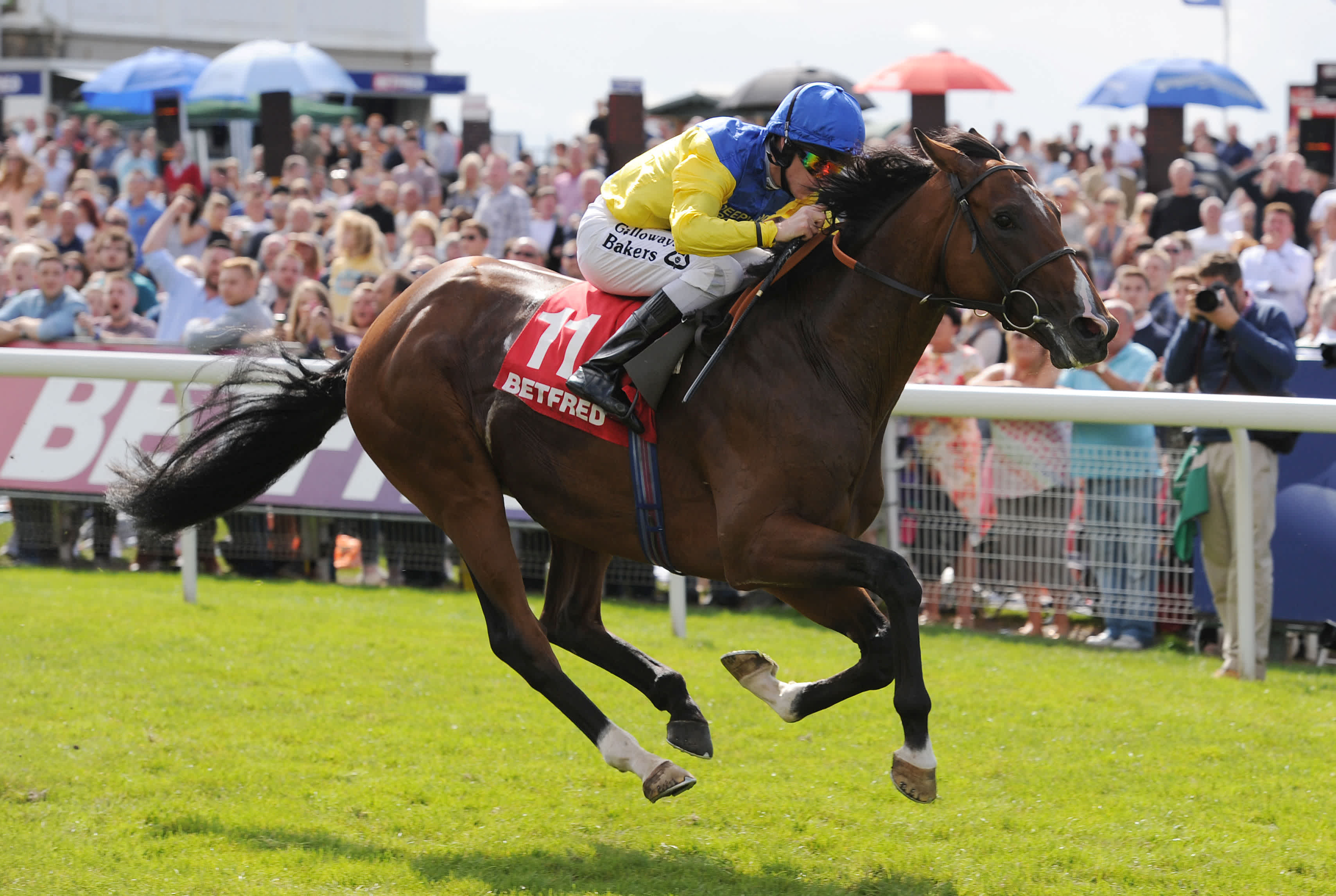 Dave Nevison Tips For Tuesday Dave Nevison's Thursday tips: Prissy Missy can strike for Menzies