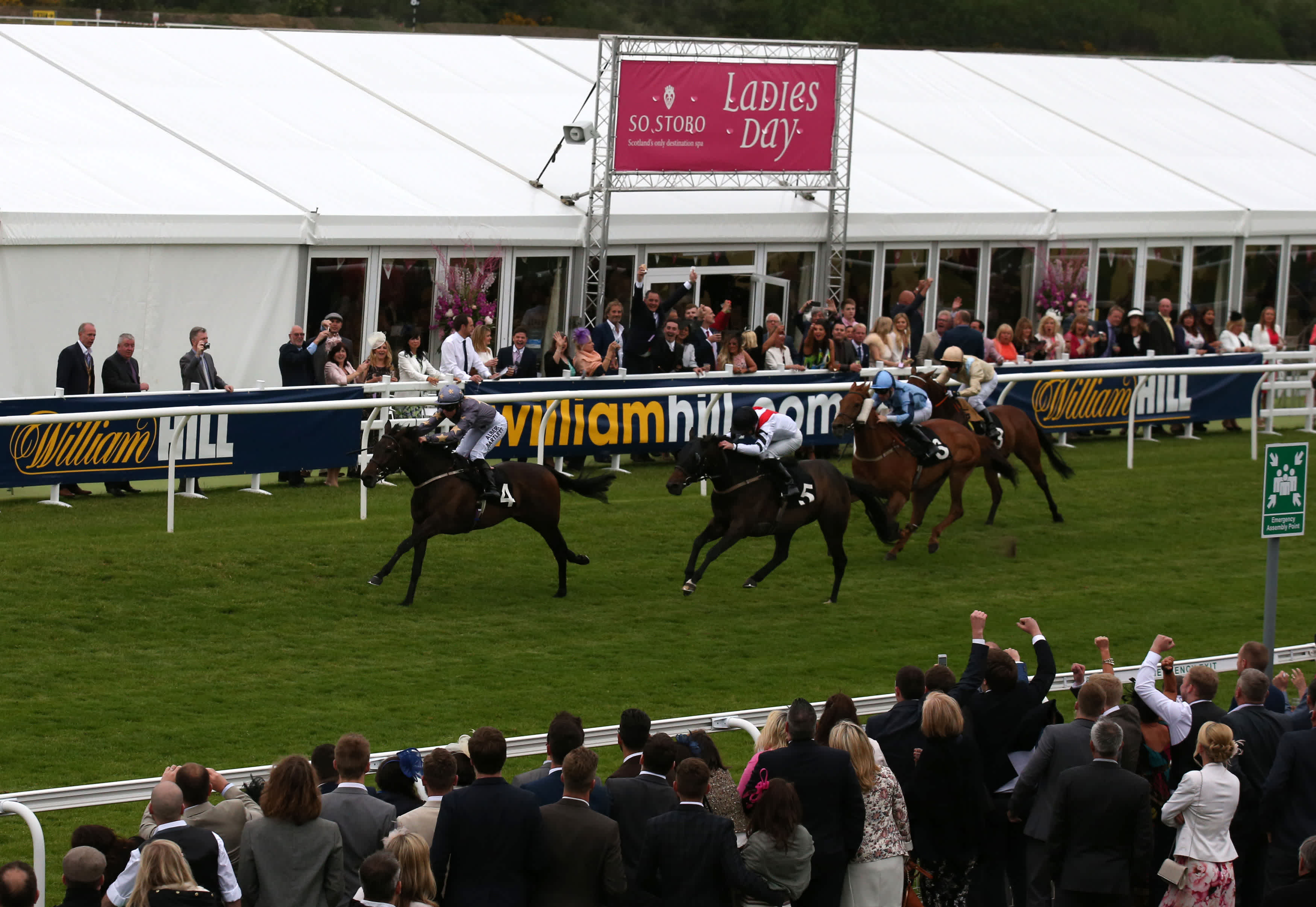 These 3 Horses Could Make You Rich: Dave Nevison'S Tuesday Horse Racing Tips - xee9cqp