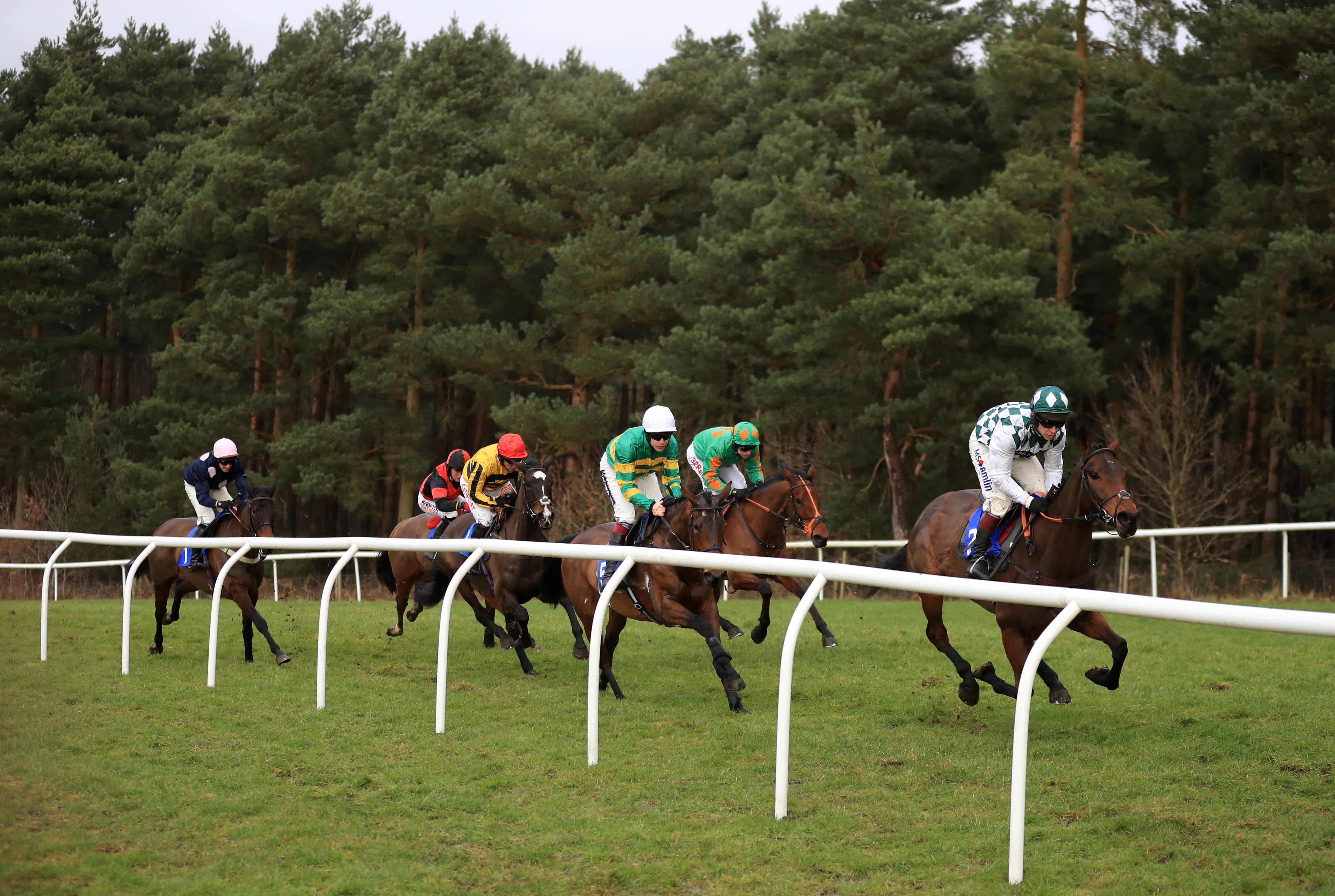 Dave Nevison My horse racing tips for Taunton and Market Rasen