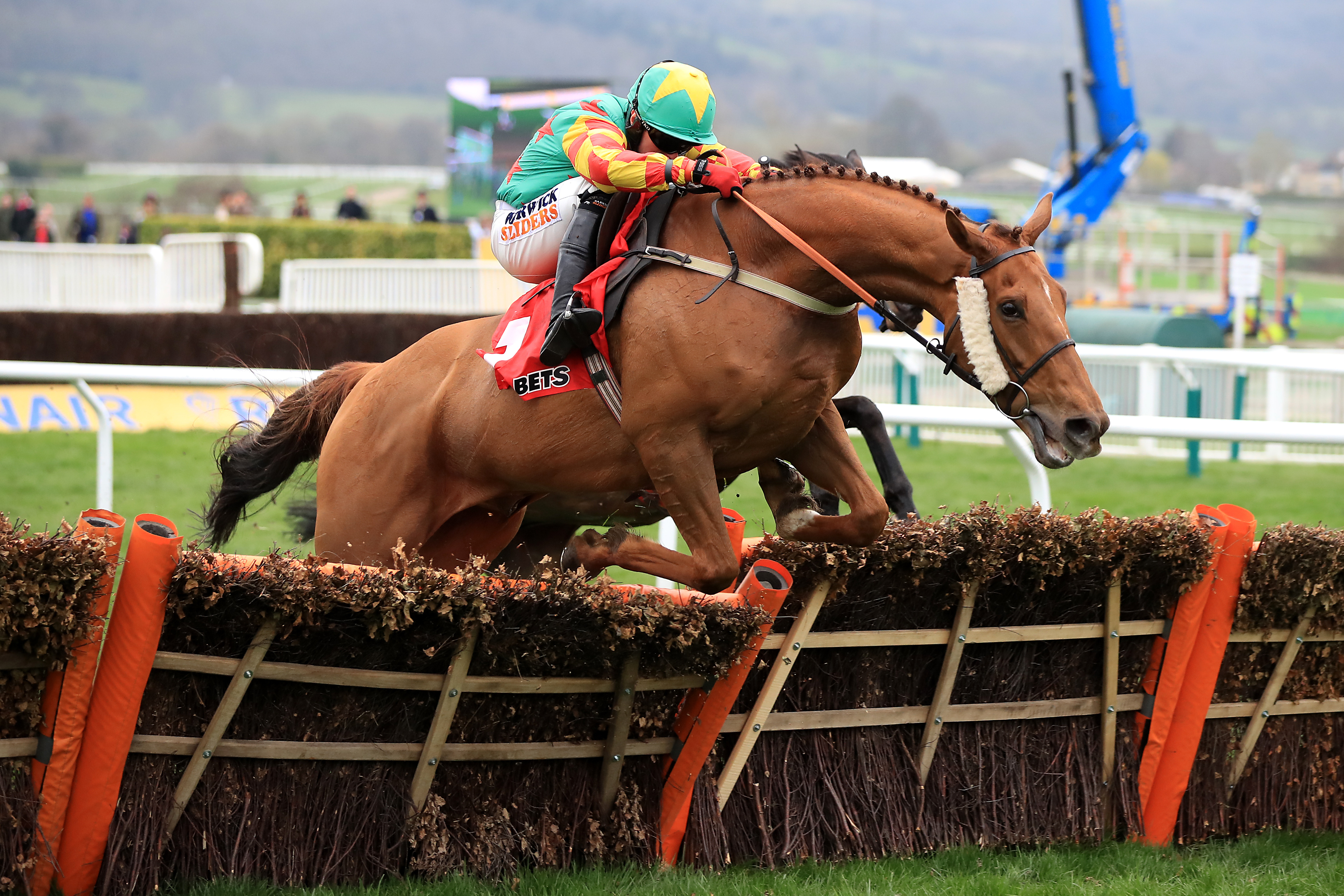 lil rockerfeller finished second in the stayers hurdle in 2017