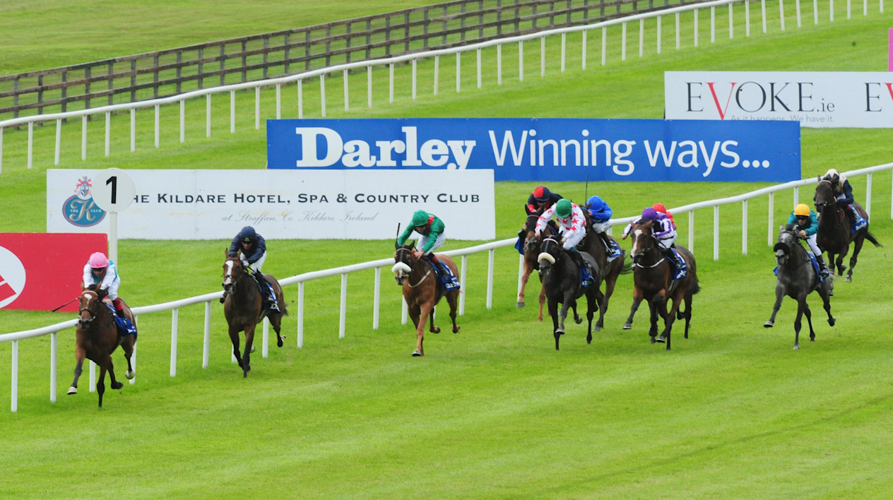 Curragh Racecourse: Today's Results & Betting