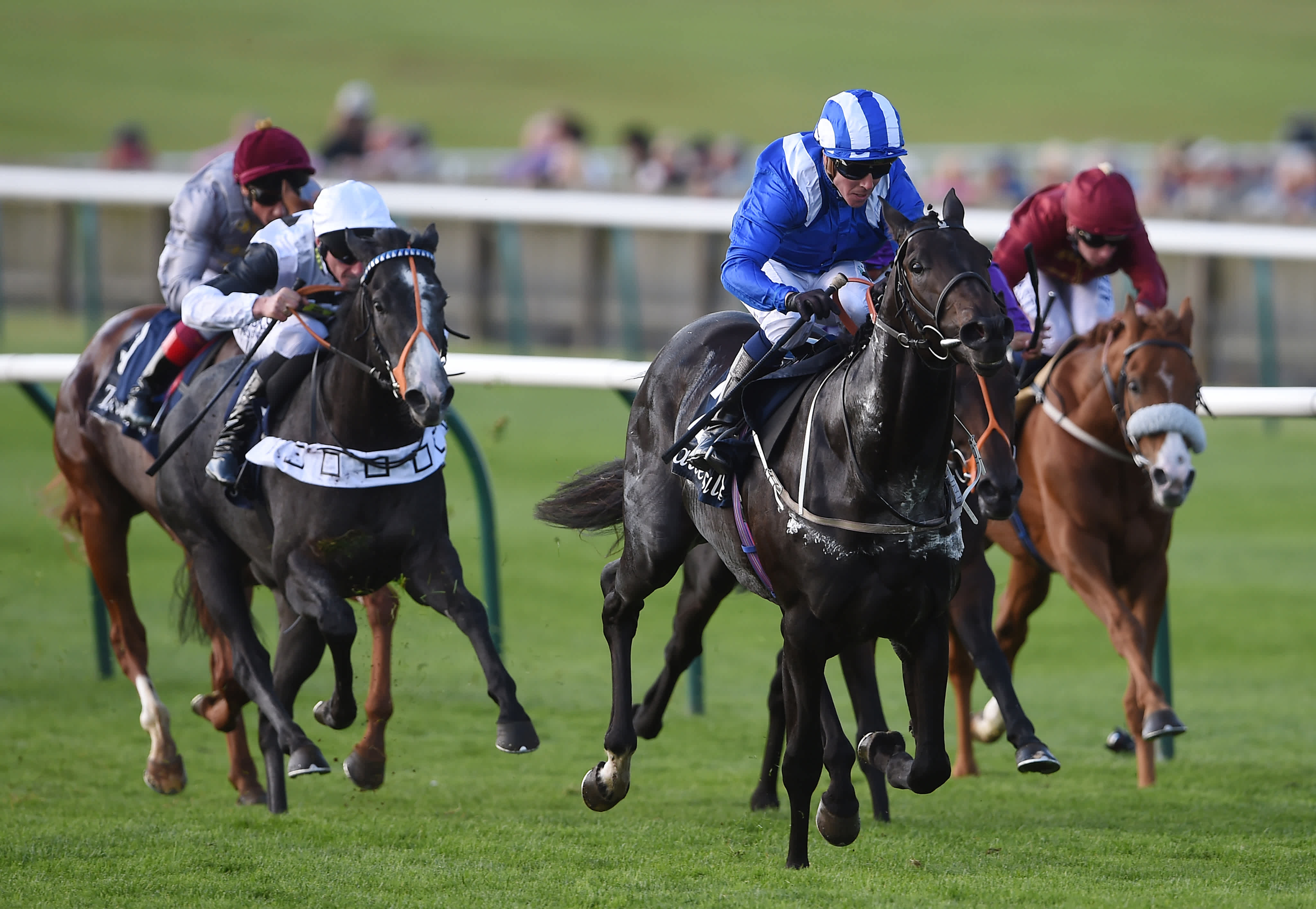 James Willoughby Why sectional timing data matters in racing