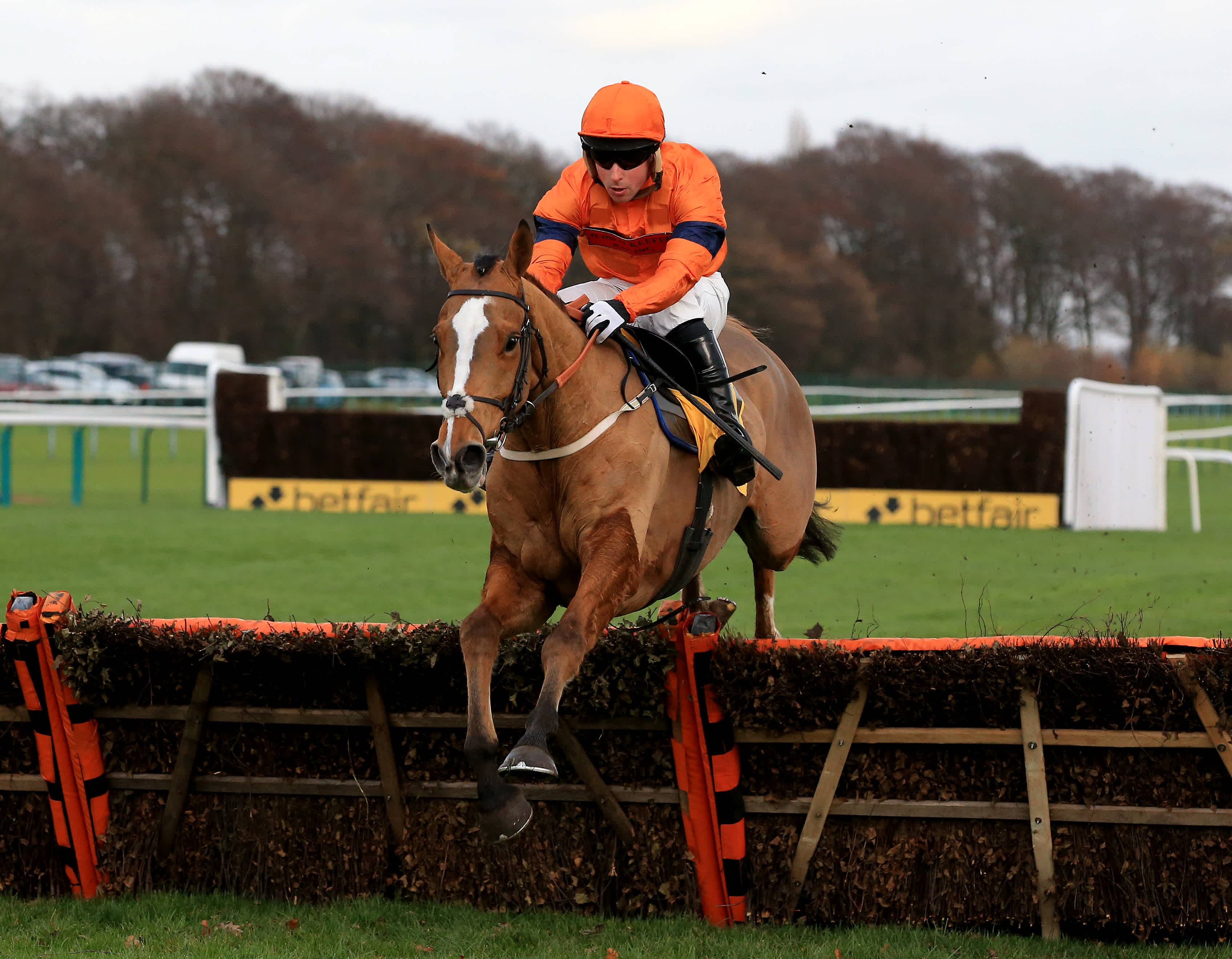 Aintree on the agenda for Stayers' Hurdle runnerup Sam Spinner