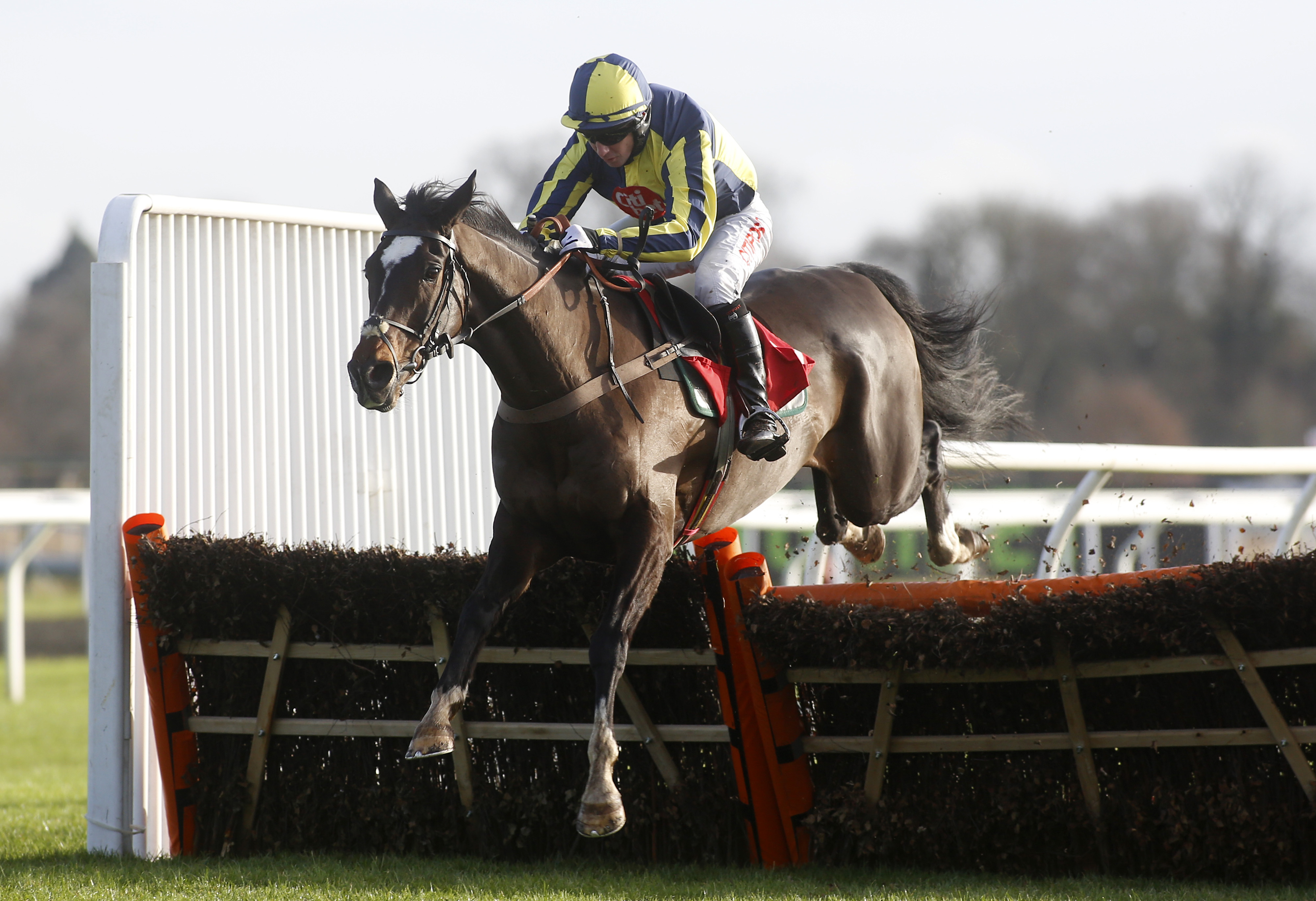Claire Roon's Paul and Clare Rooney instruct trainers to make Cheltenham entries