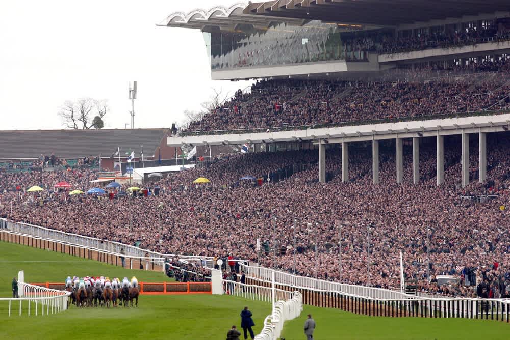 cheltenham-festival-the-best-bookmaker-offers-and-free-bets