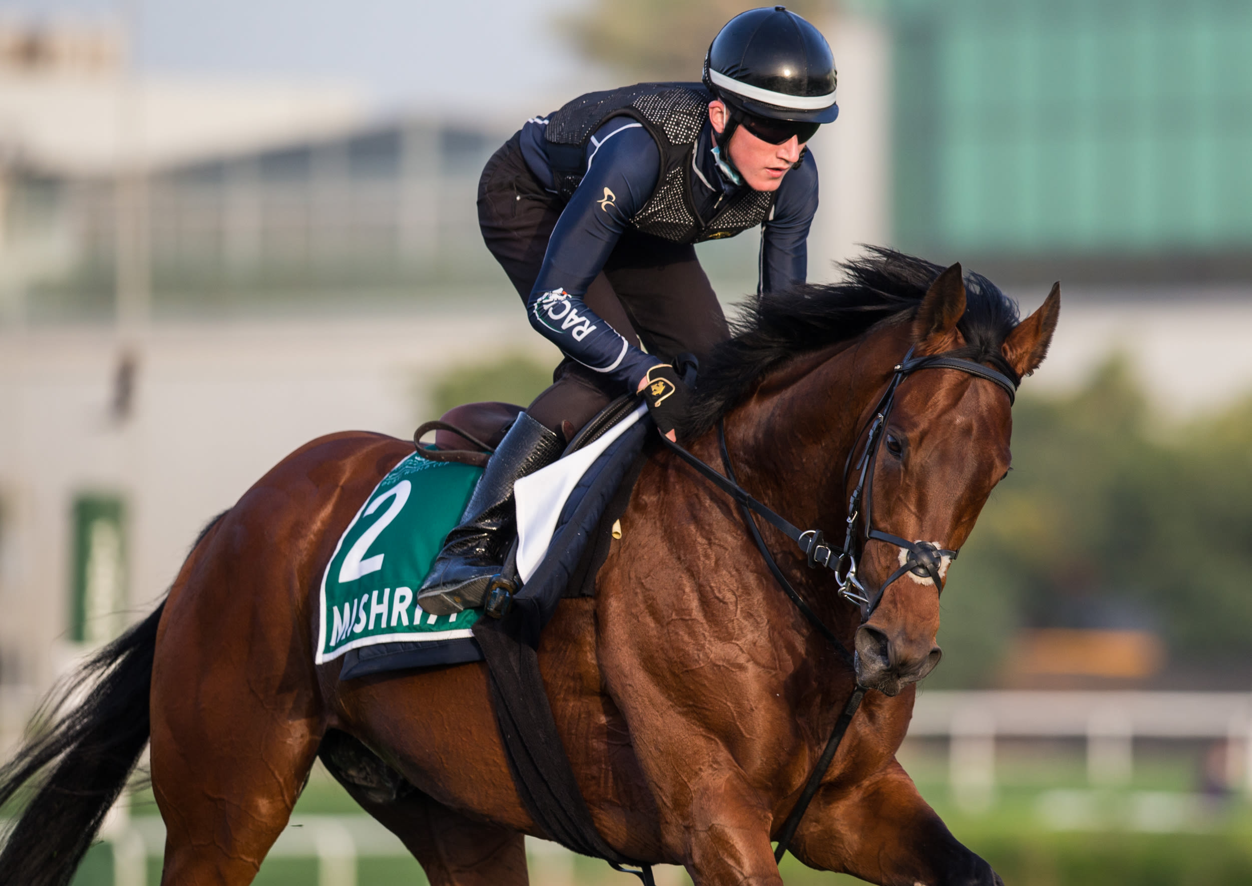 Dubai Sheema Classic Mishriff Bids For More Big Race Success At Meydan On Saturday