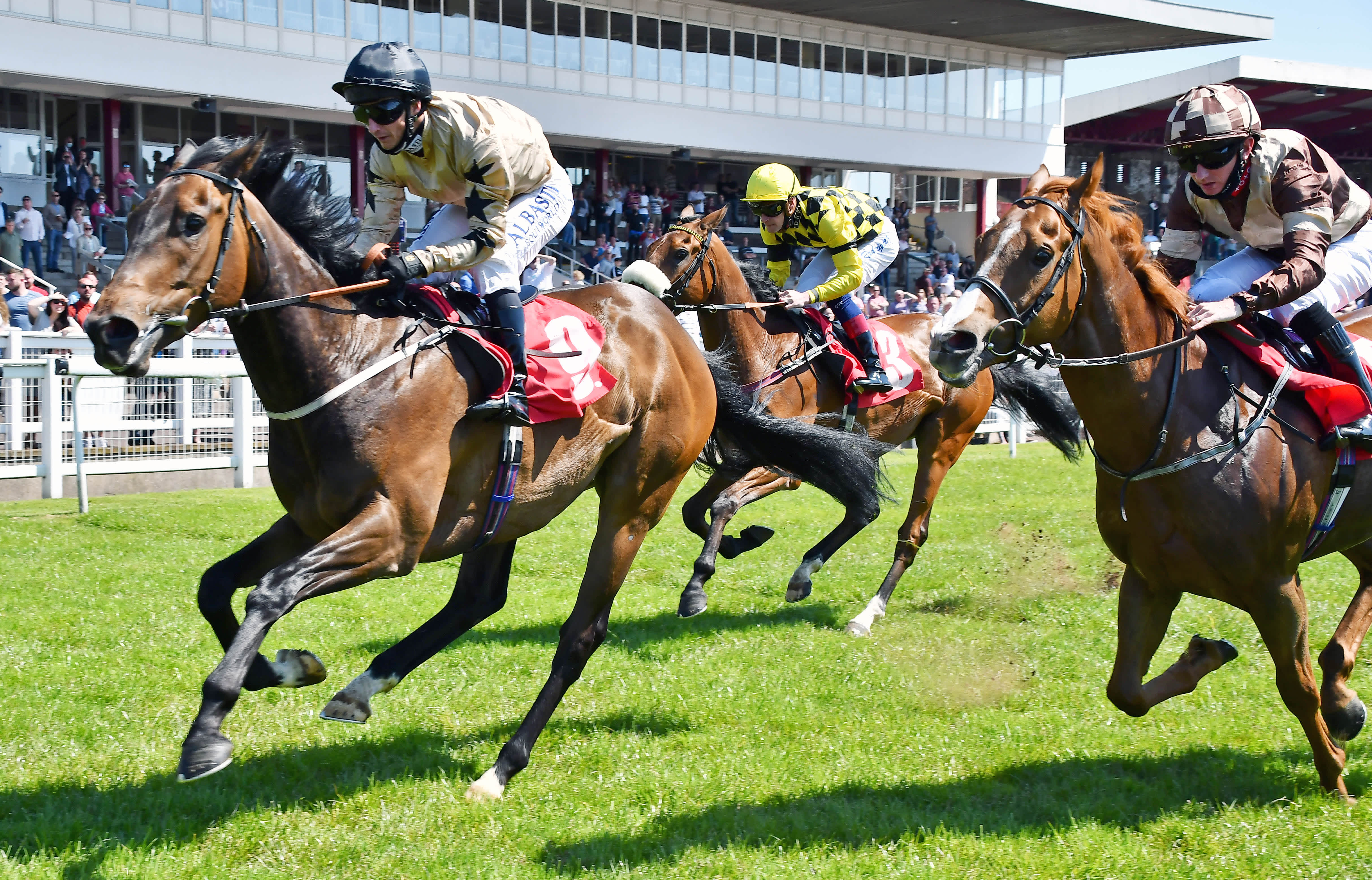 Runninwild Stuns Punters With 200 1 Win At Redcar