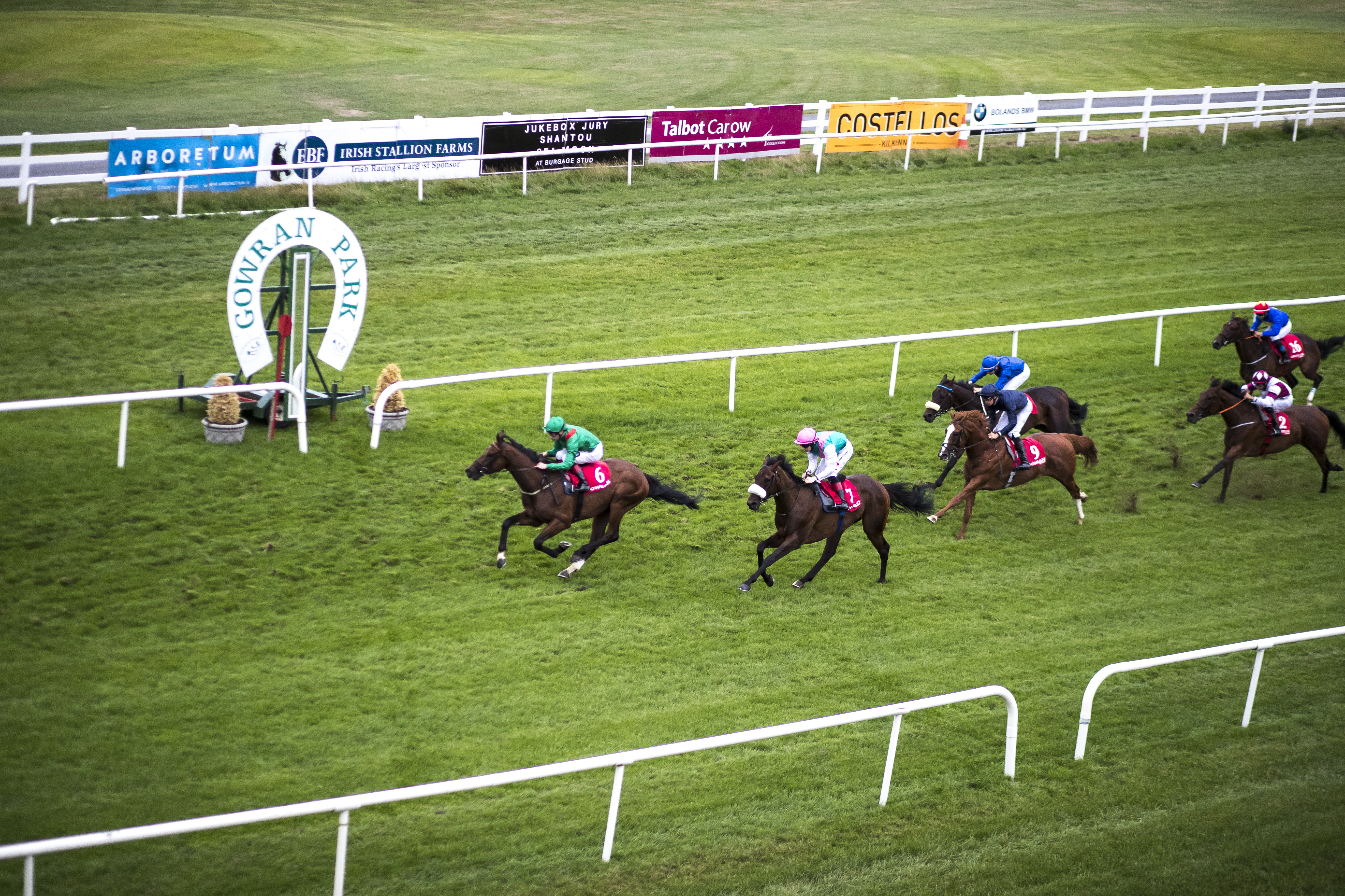tv horse races today