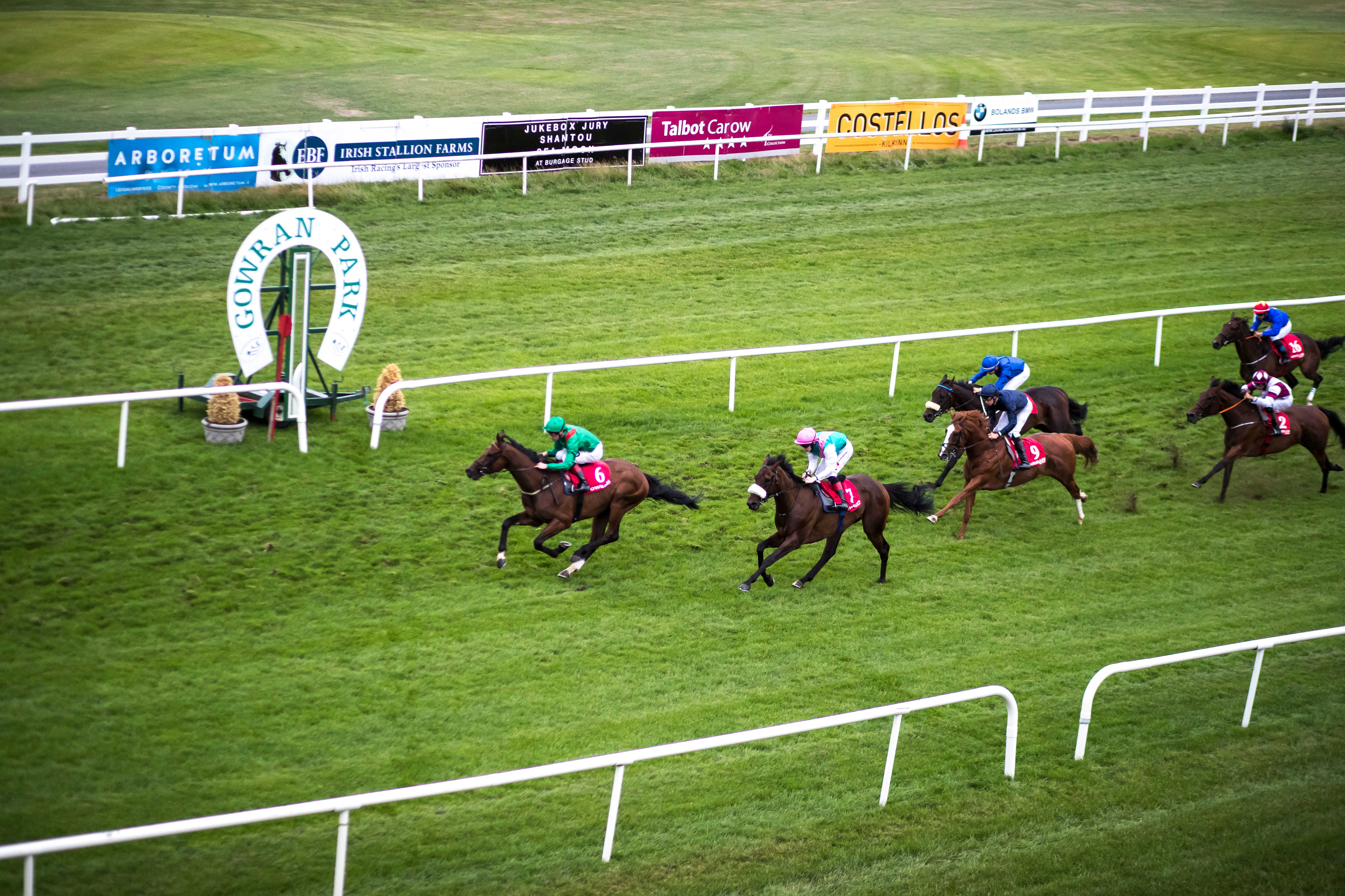 Racing Results 1605 Gowran Park Sat 16 Sep 2023