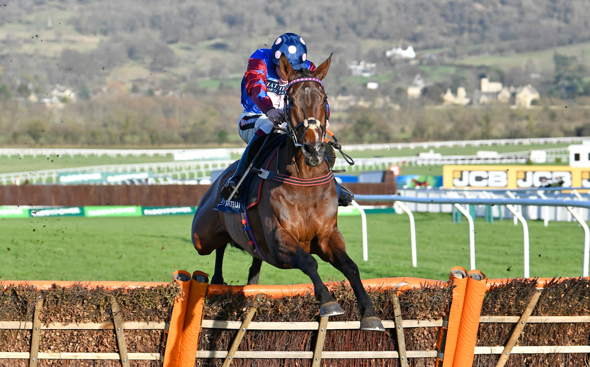 The 2022 Paddy Power Stayers’ Hurdle runnerbyrunner guide