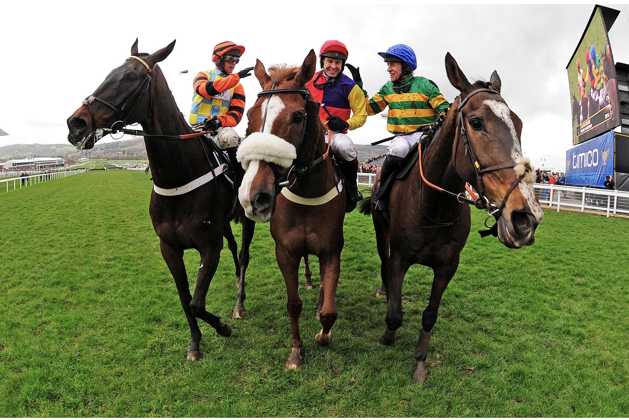  Native River, centre, with Might Bite, left, and Anibale Fly after his Cheltenham Gold Cup win in 2018 (Focusonracing)