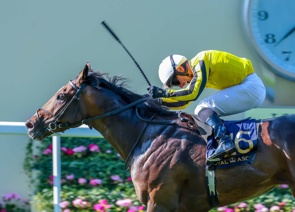 Burdett Road strikes as Dettori out of luck on final Royal Ascot ride