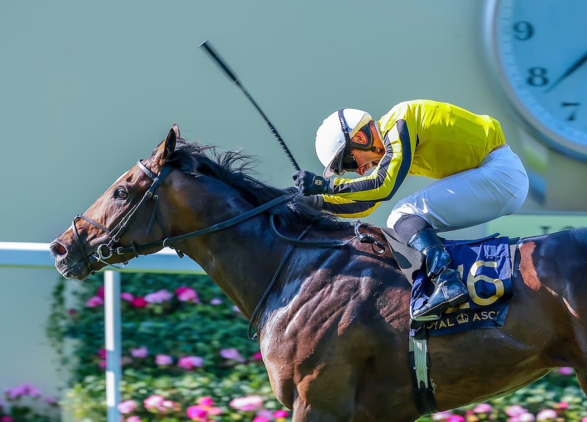 Burdett Road strikes as Dettori out of luck on final Royal Ascot ride