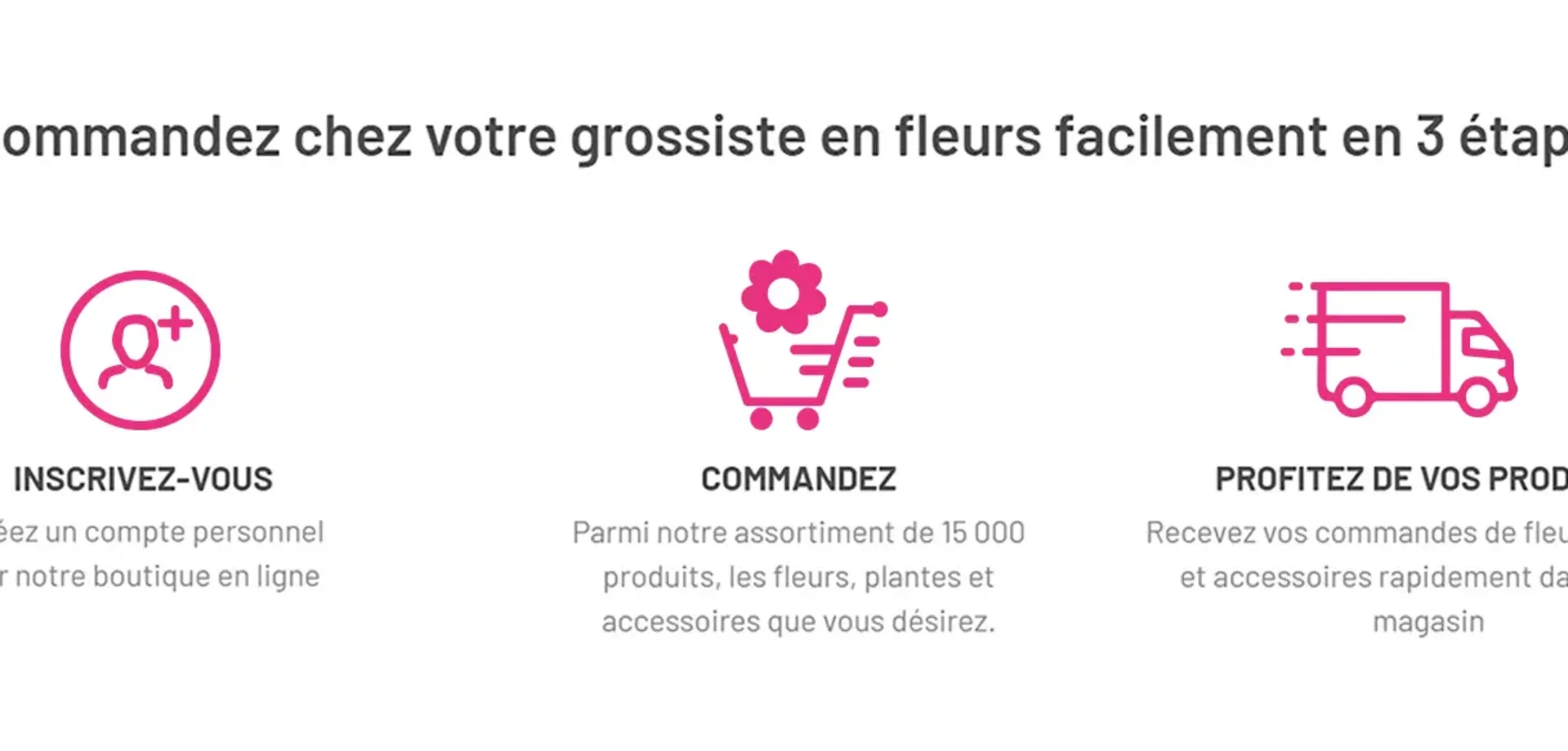 Commander chez Roobos | Fleurs et Plantes en 3 Étapes Simples