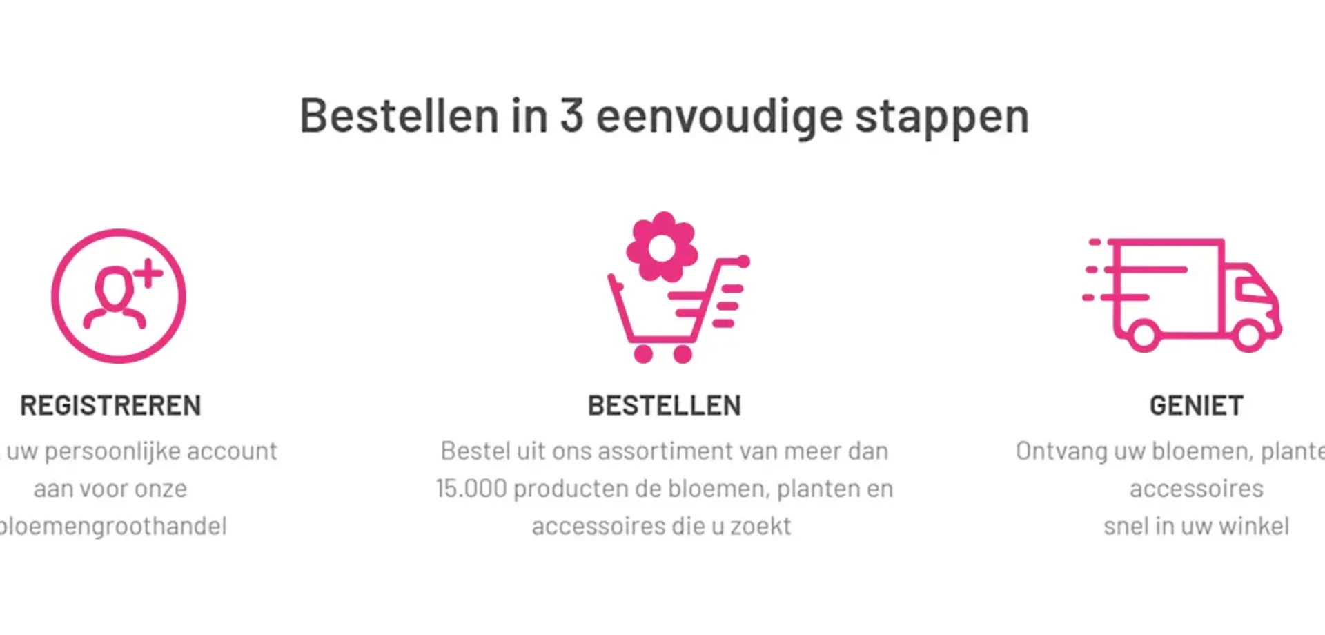 Bestellen bij Roobos | Bloemen en planten in 3 eenvoudige stappen