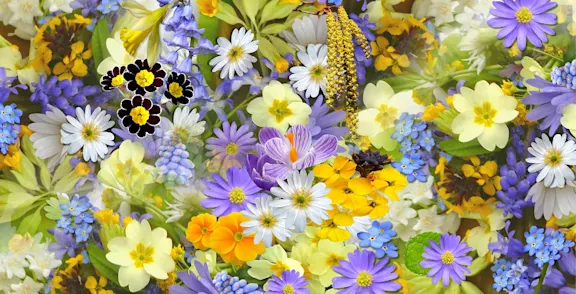 Flower Wholesaler Roobos | Green Industry Trends 2027