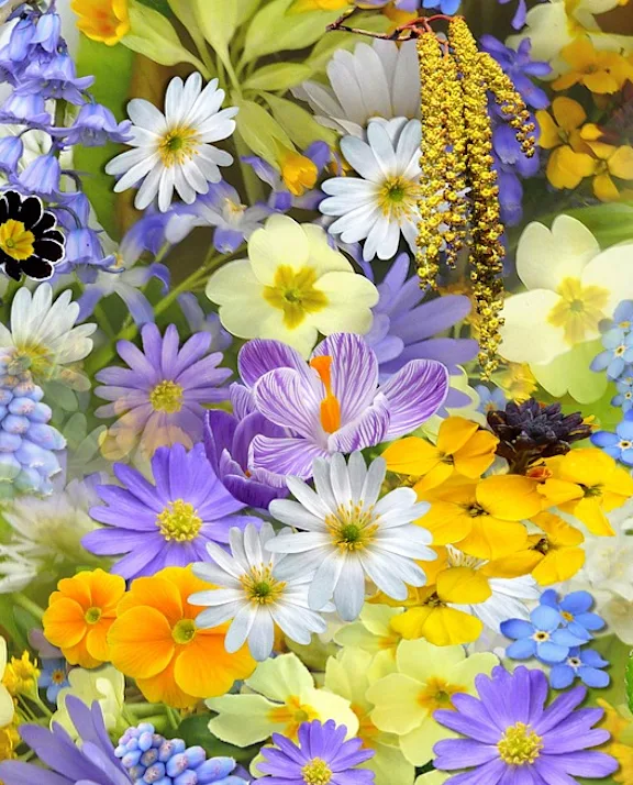 Flower Wholesaler Roobos | Green Industry Trends 2027