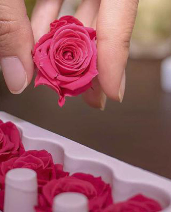 preserved-flowers-wholesaler