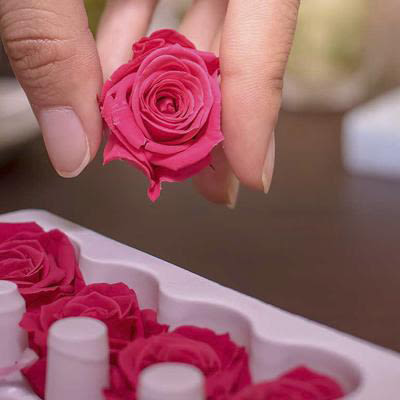 Gestabiliseerde-bloemen-groothandel