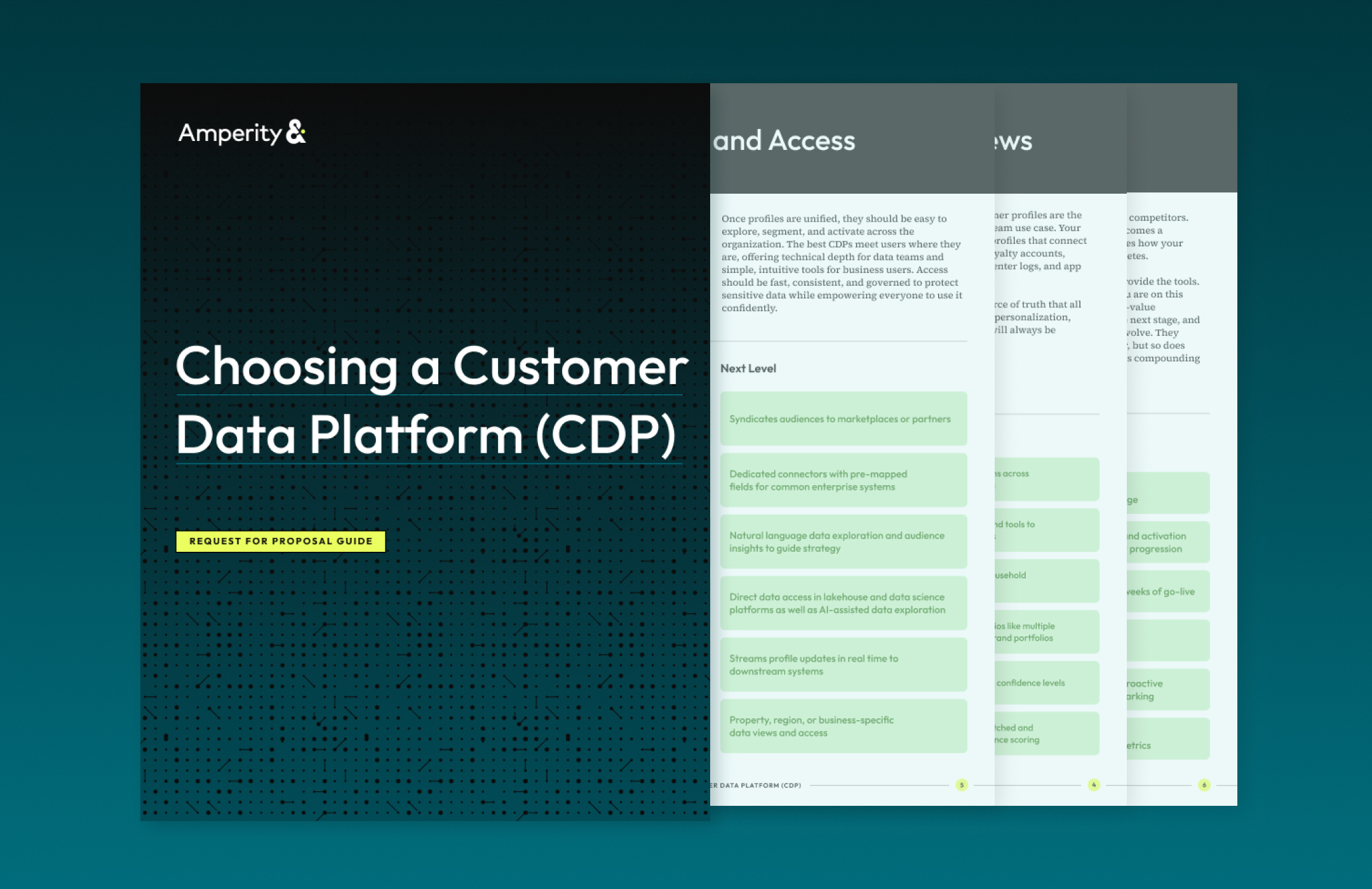 The Essential CDP RFP (Request for Proposal) Guide Amperity