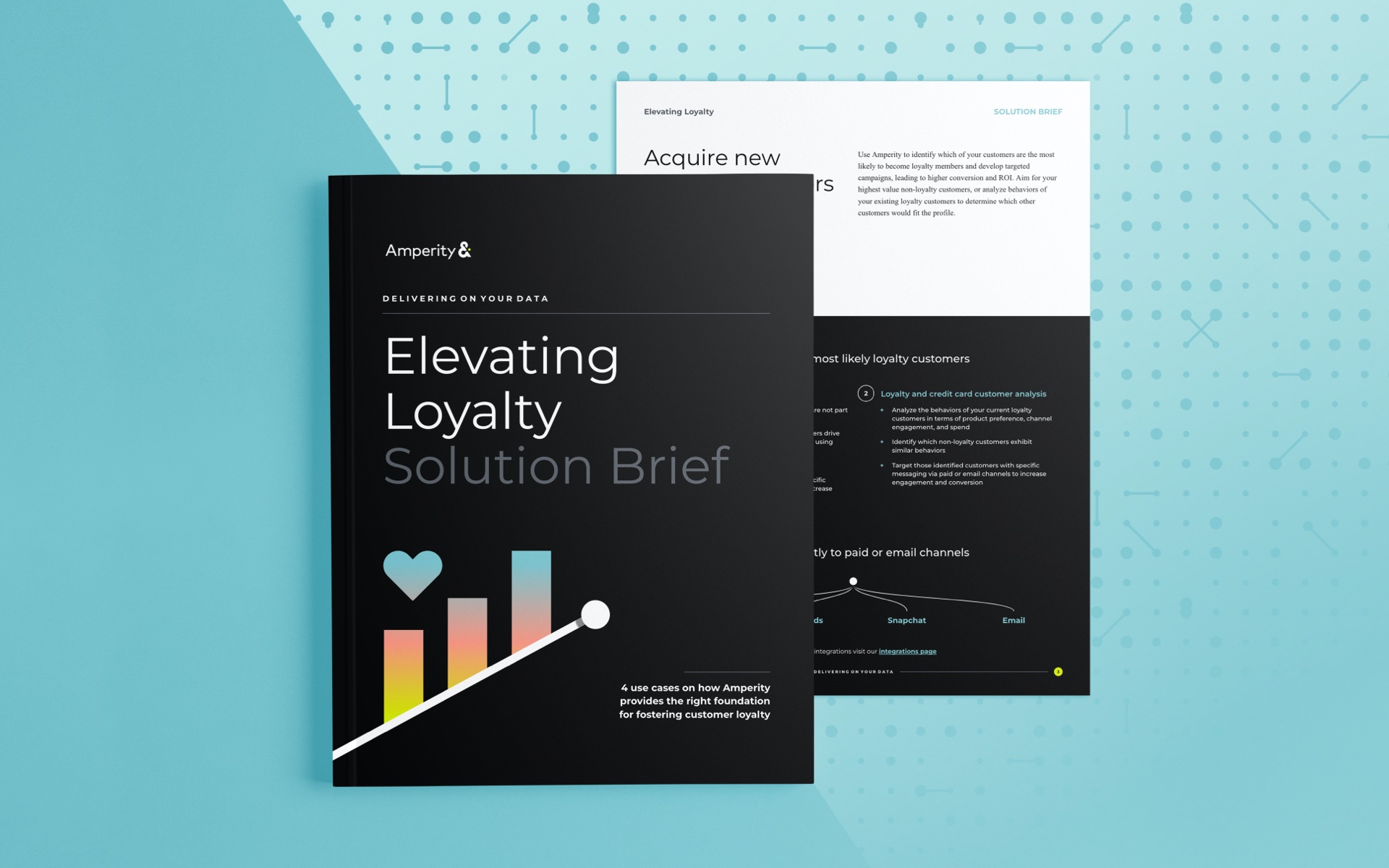 Image of front page of the elevating loyalty solution brief