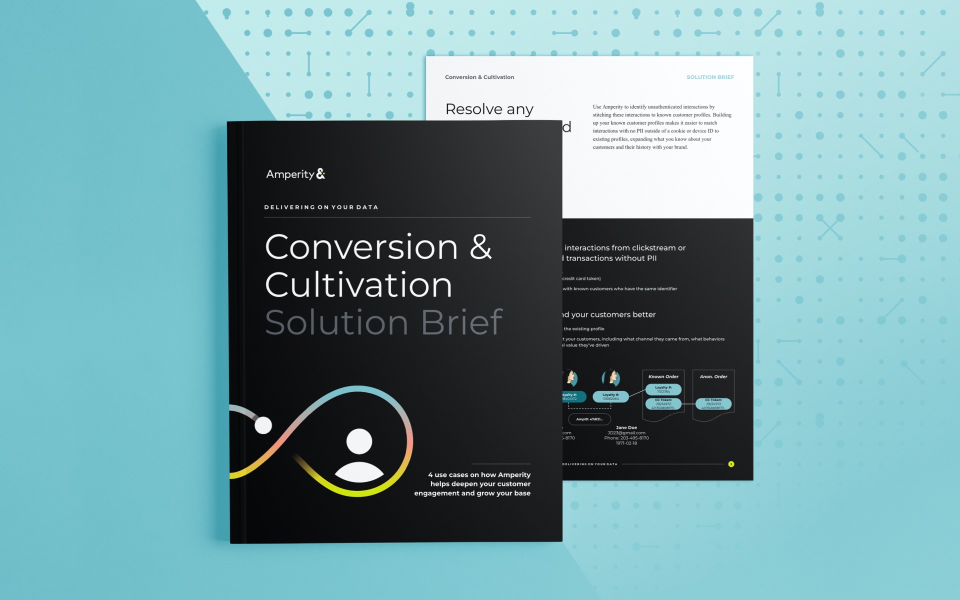 Screenshot of the front page of the conversion & cultivation solution brief