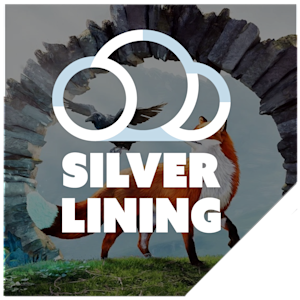 Silver Lining Interactive