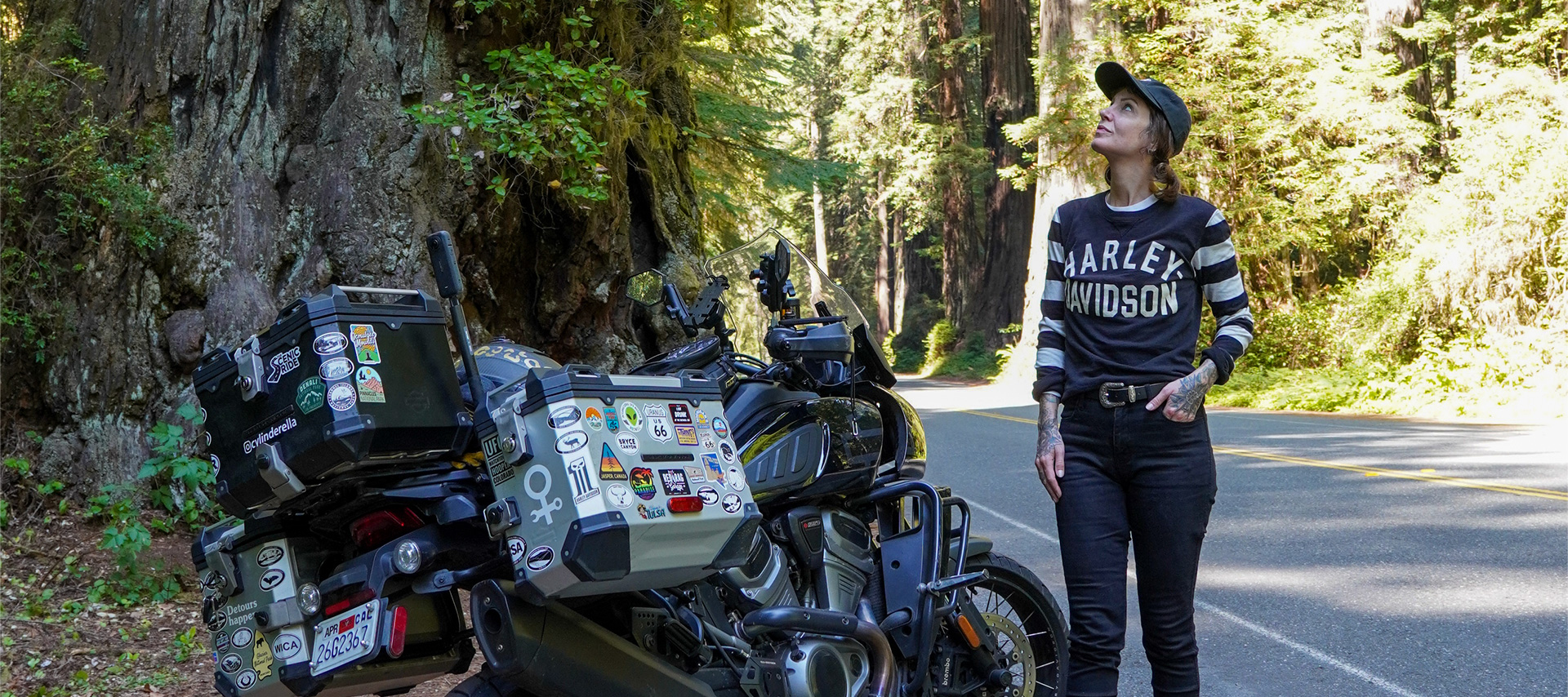 The author Sanna Boman standing next to her Harley-Davidson Pan America in Redwood National Park.