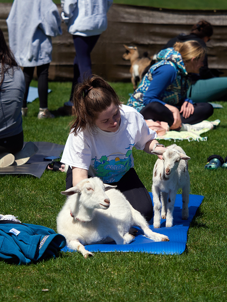 11.1.14_RockTheGreen_GalleryGrid_Card3_Event