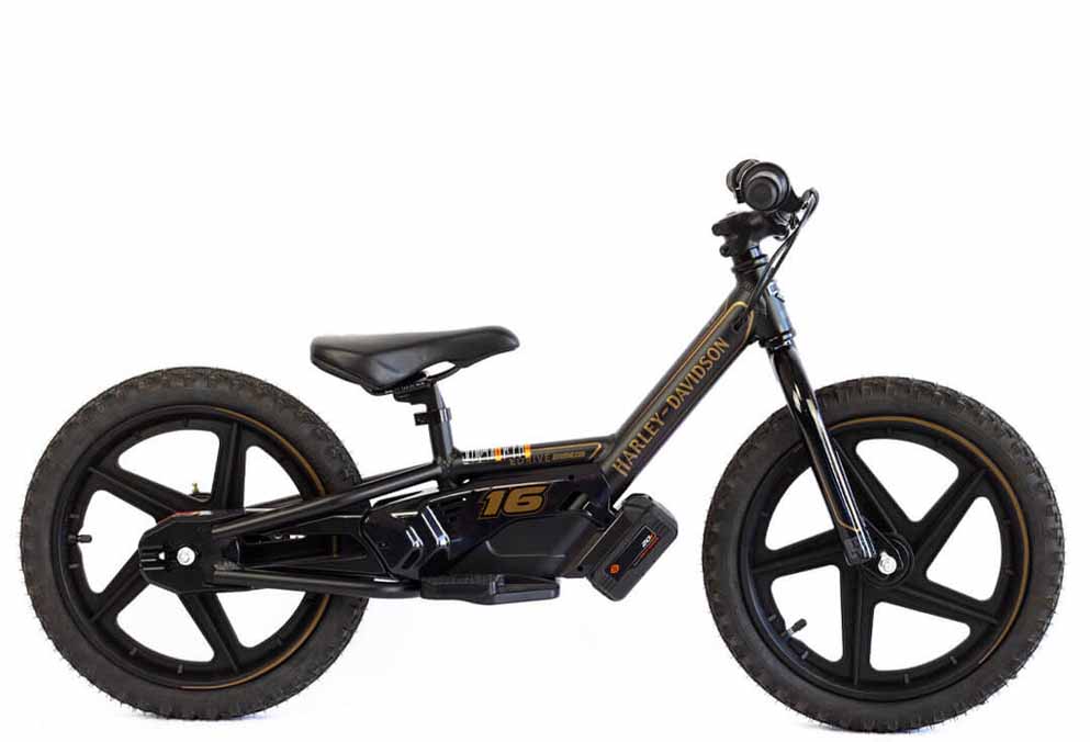 EBike 16E Low Rider Edition