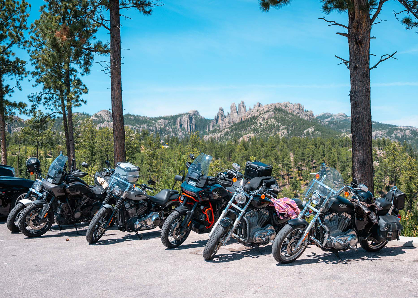 Six Harley-Davidsons parked at a mountain overlook with pine trees and rock spires in the background.