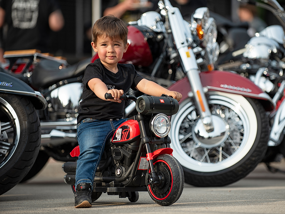 3.1_SpecialExhibits_LargeCarouselSlider_Card3_ActionNeverStops